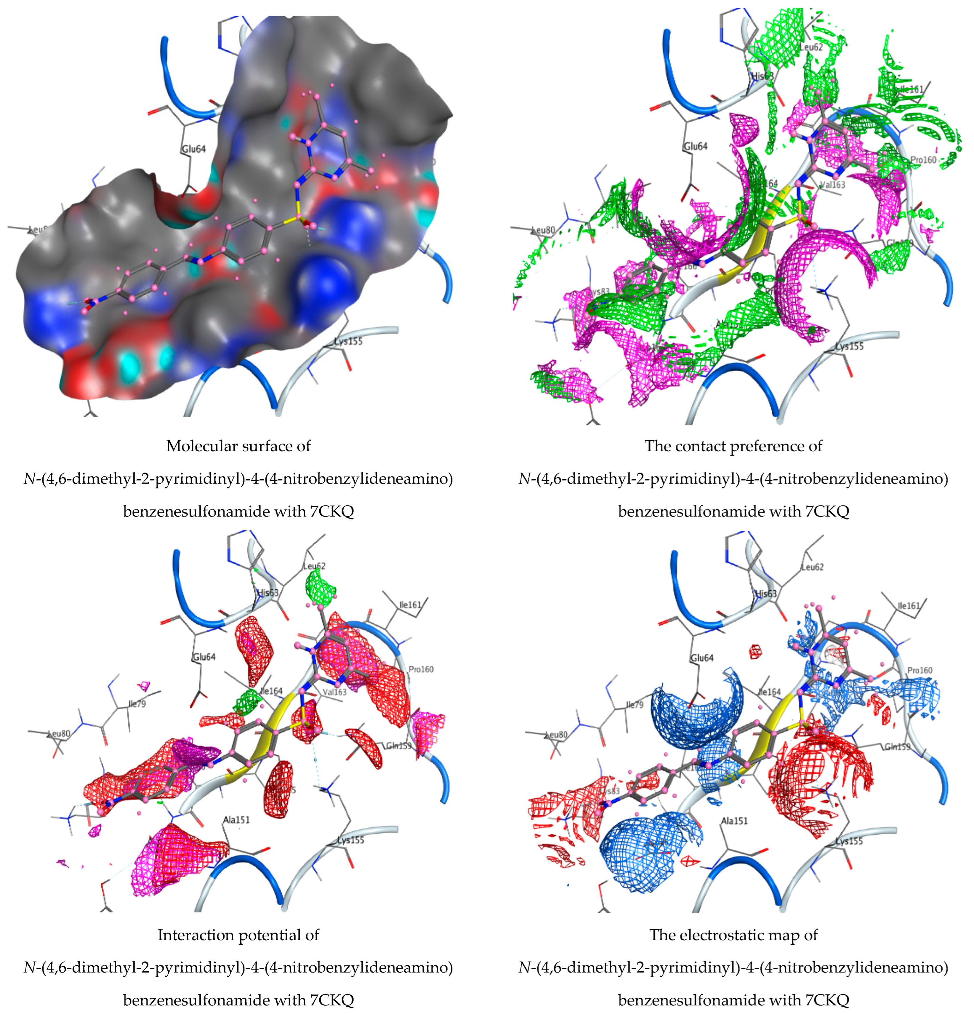 Life 12 01182 g011b Life 12 01182 g011b