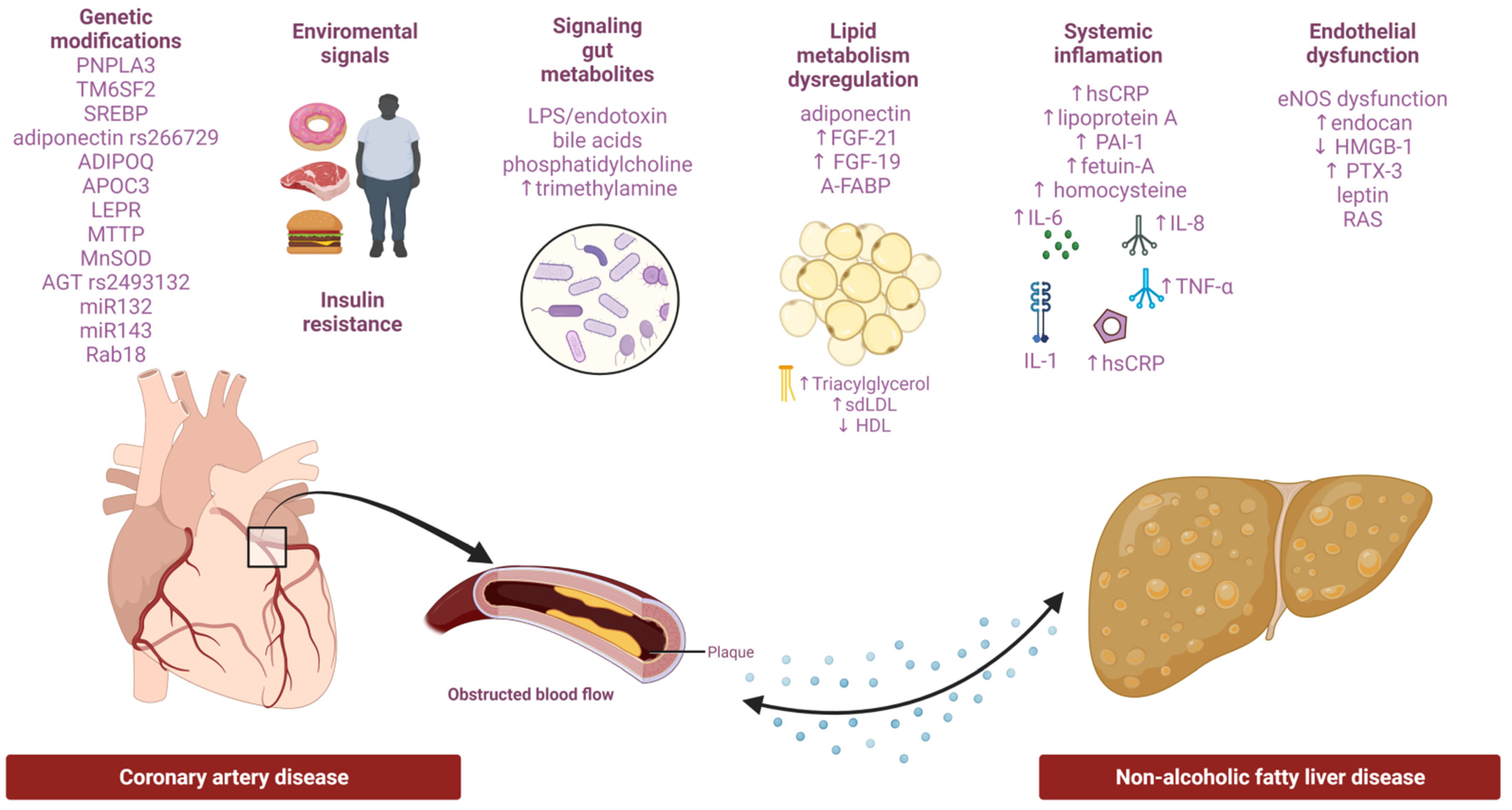 Life 12 01189 g001 Life 12 01189 g001