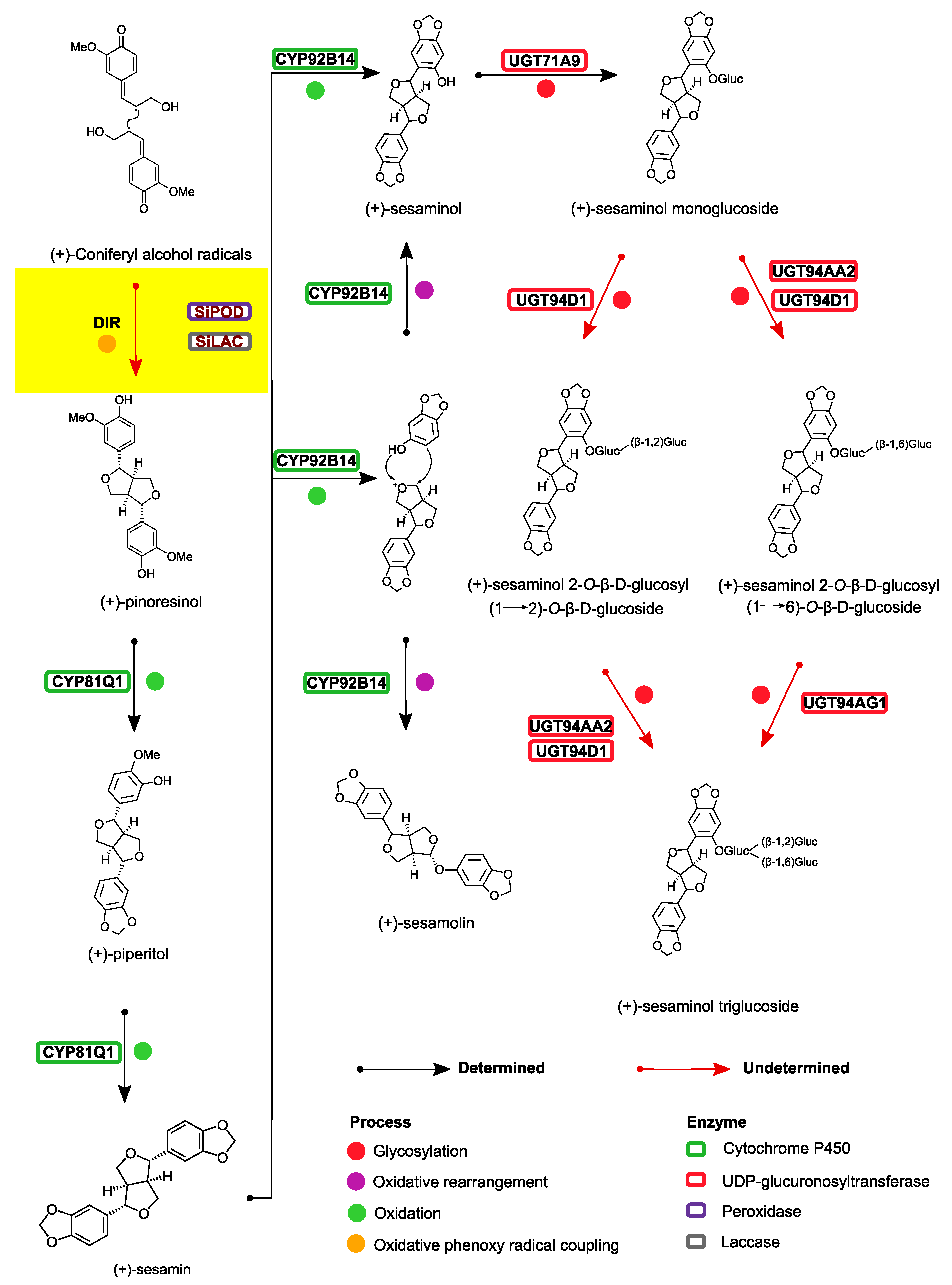 Life 12 01200 g001 550