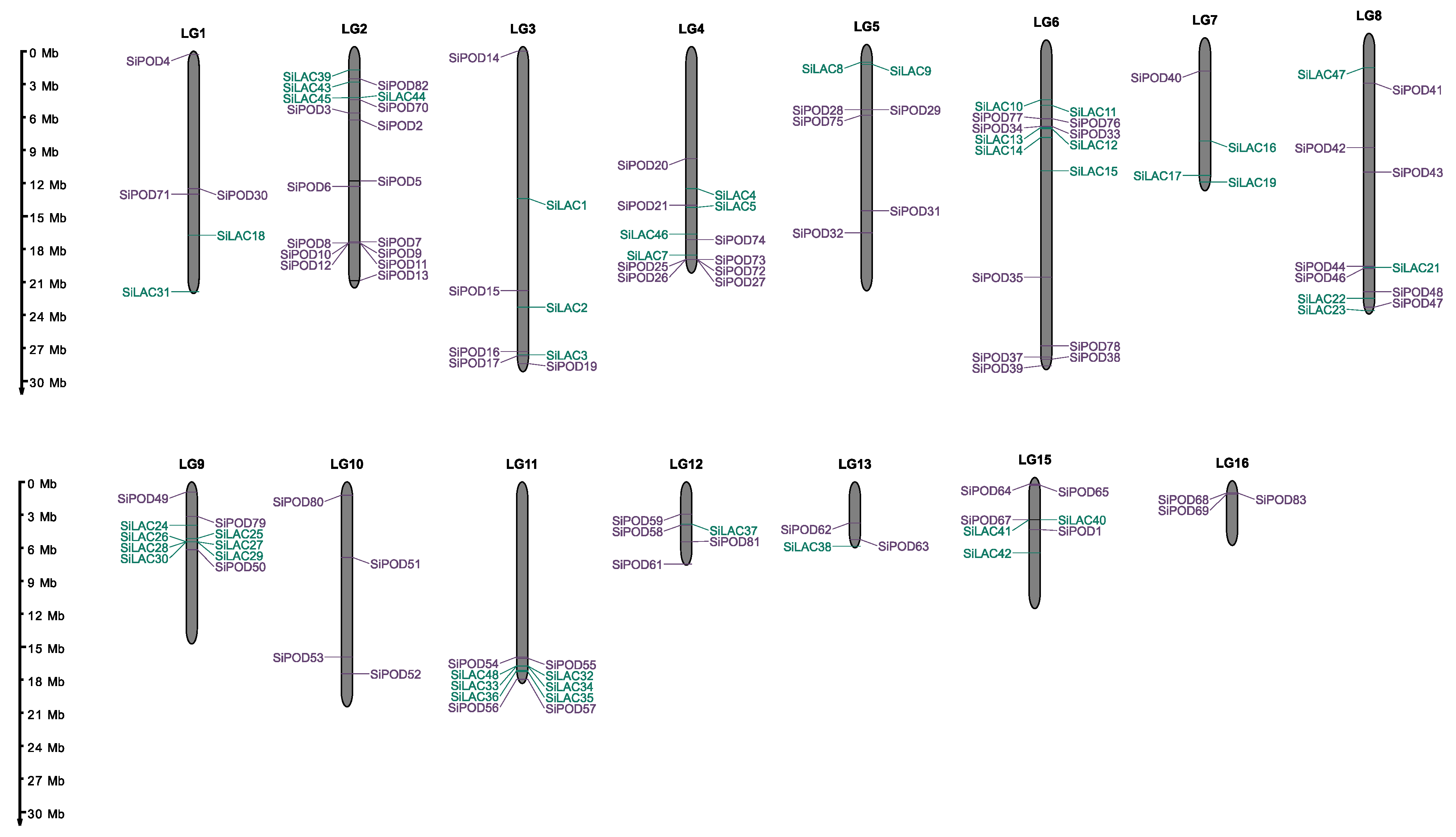 Life 12 01200 g003 550