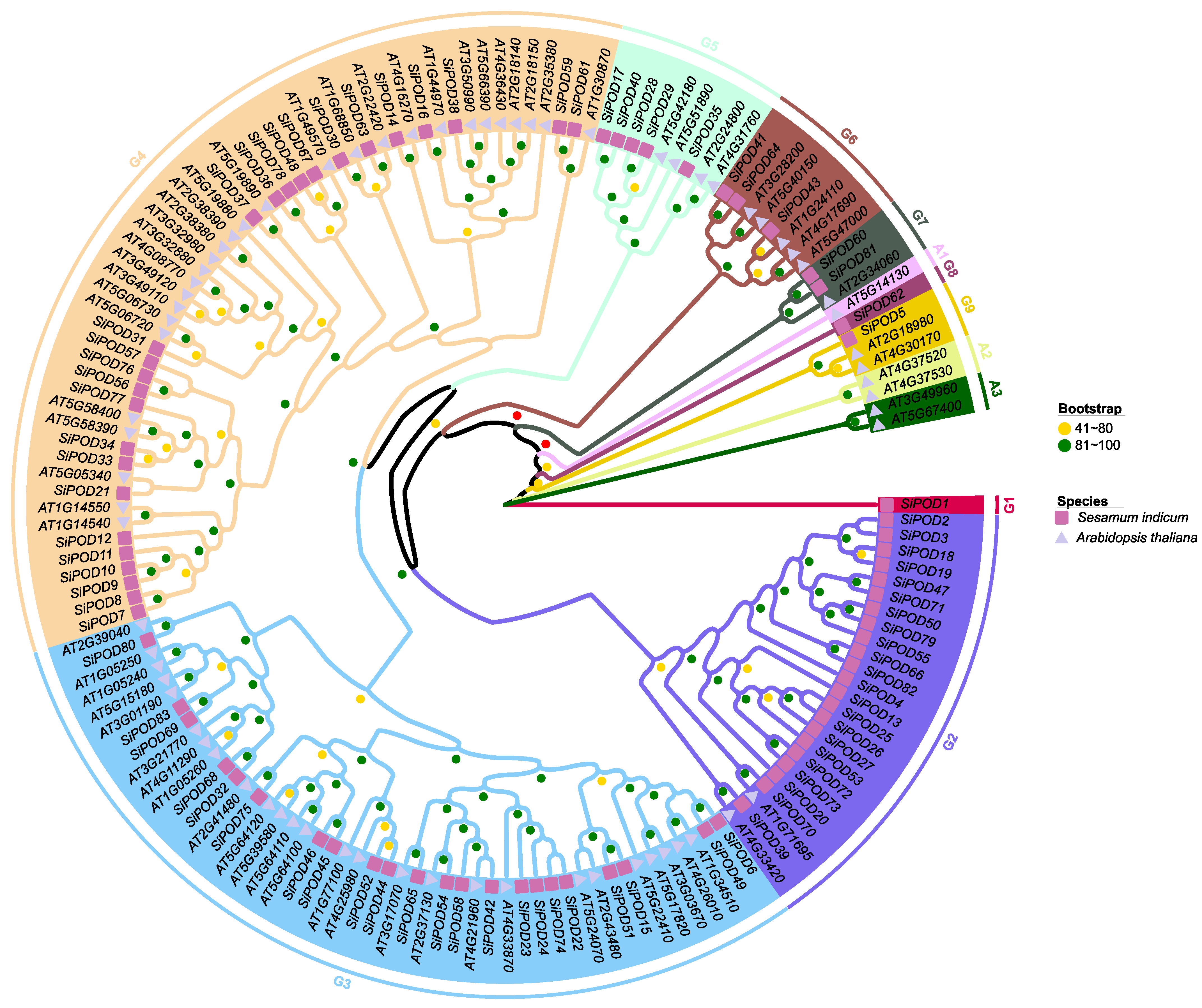 Life 12 01200 g004 550