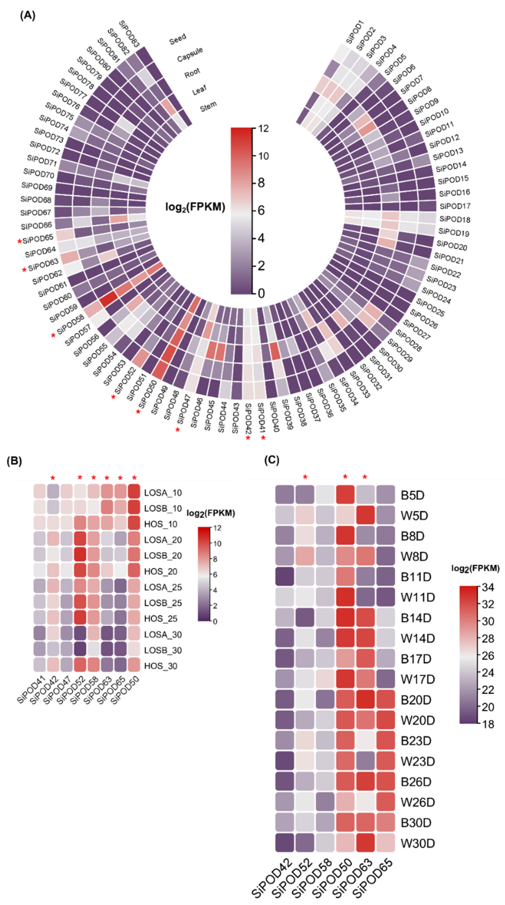 Life 12 01200 g006 550