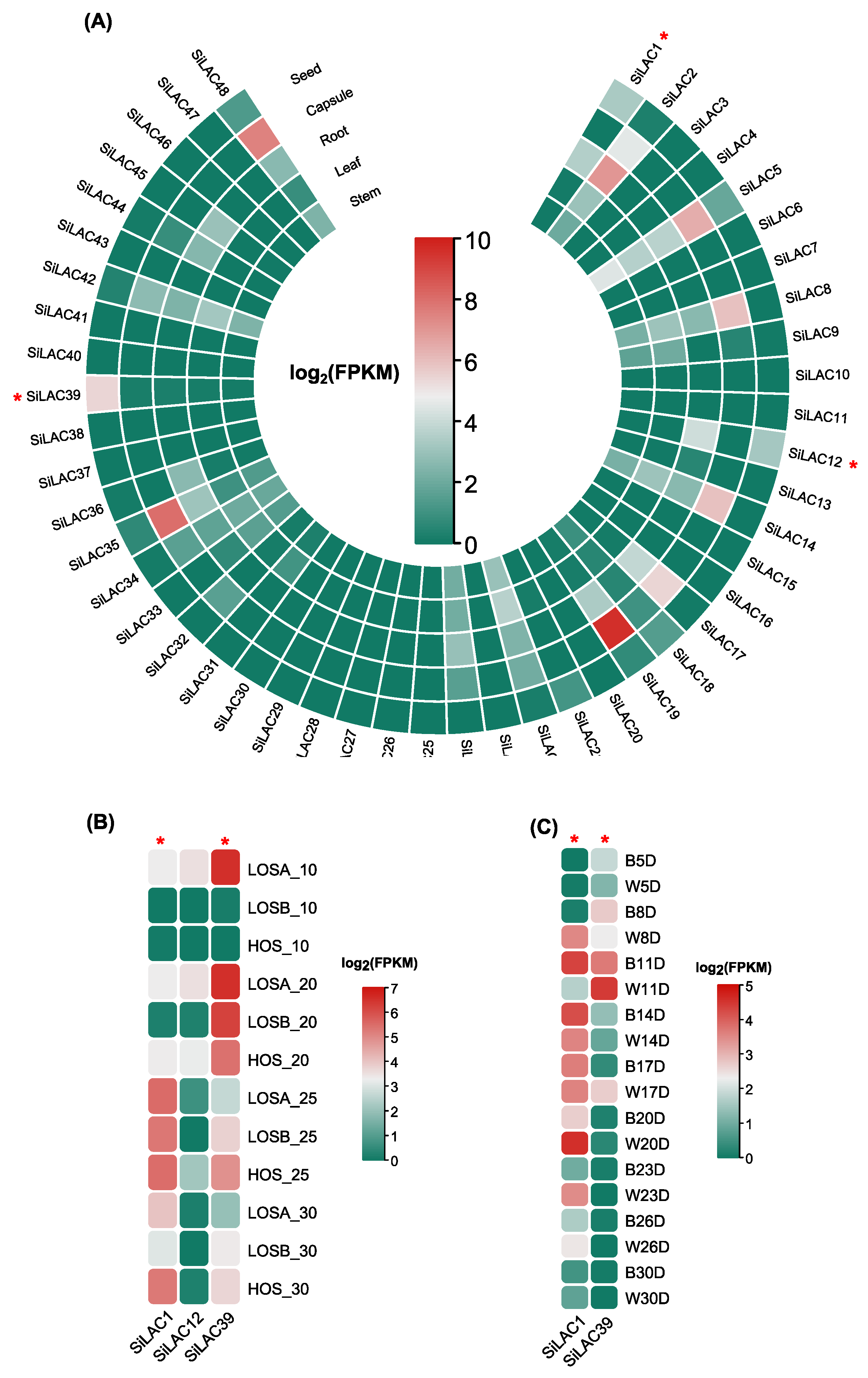 Life 12 01200 g007 550