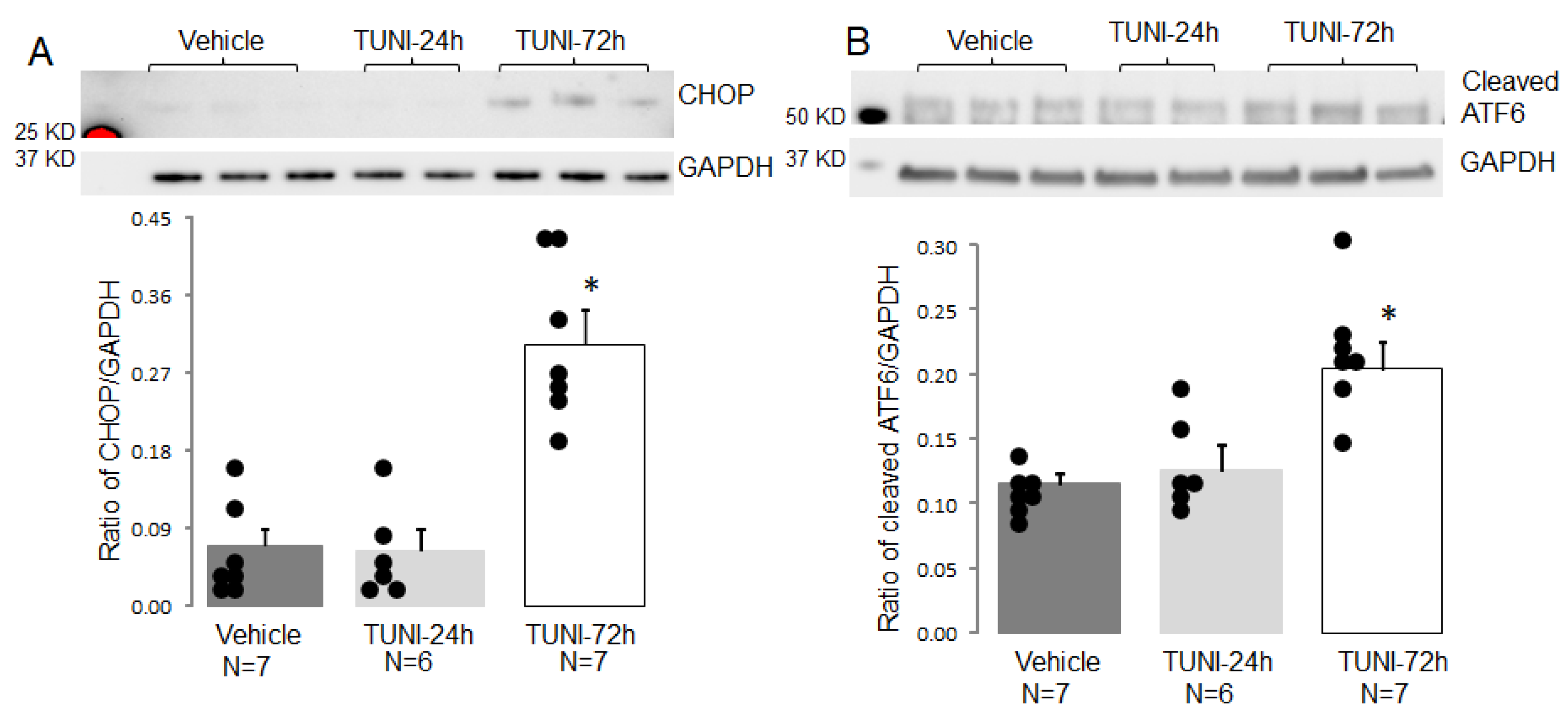 Life 12 01209 g001 550