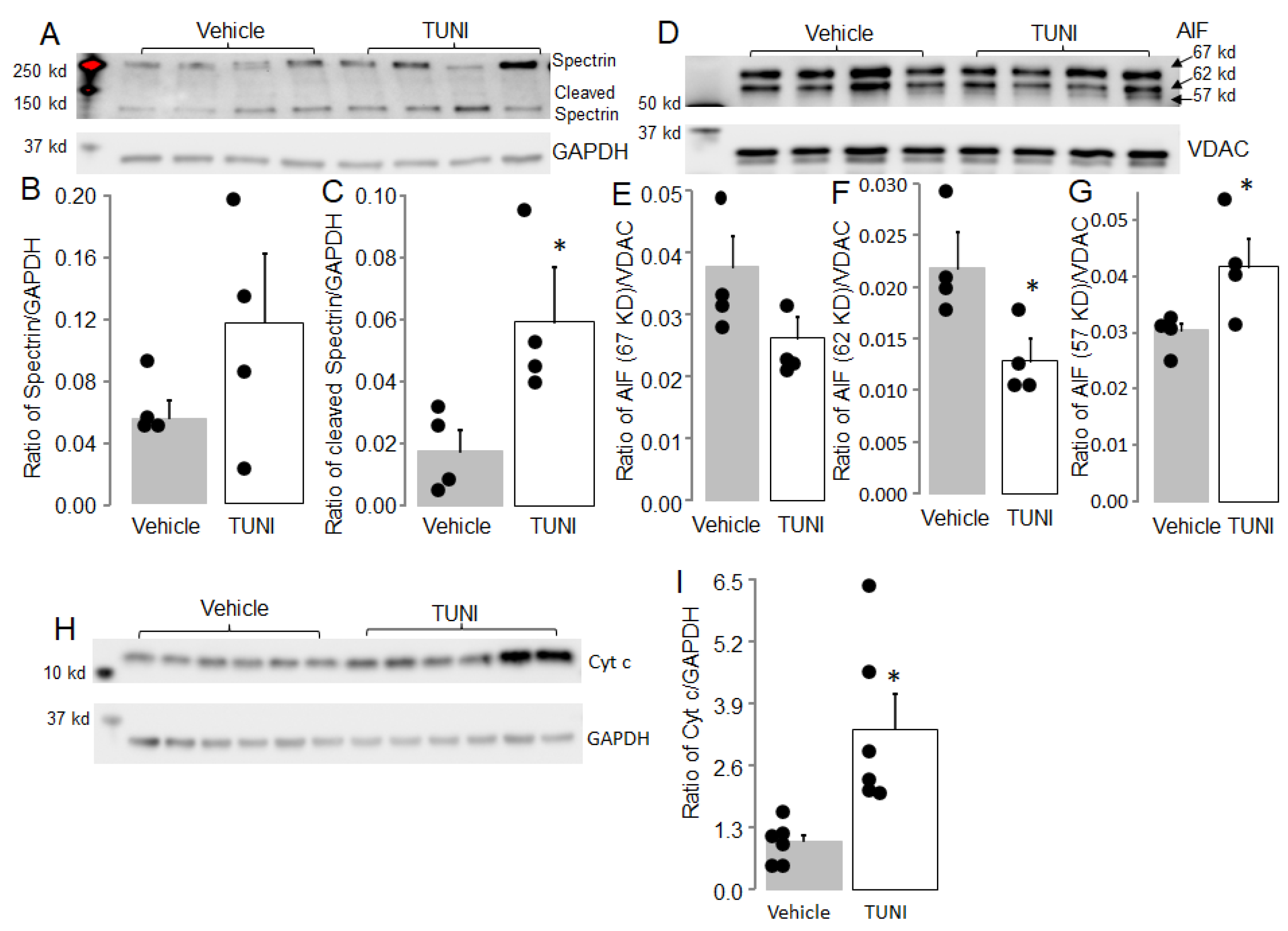 Life 12 01209 g006 550