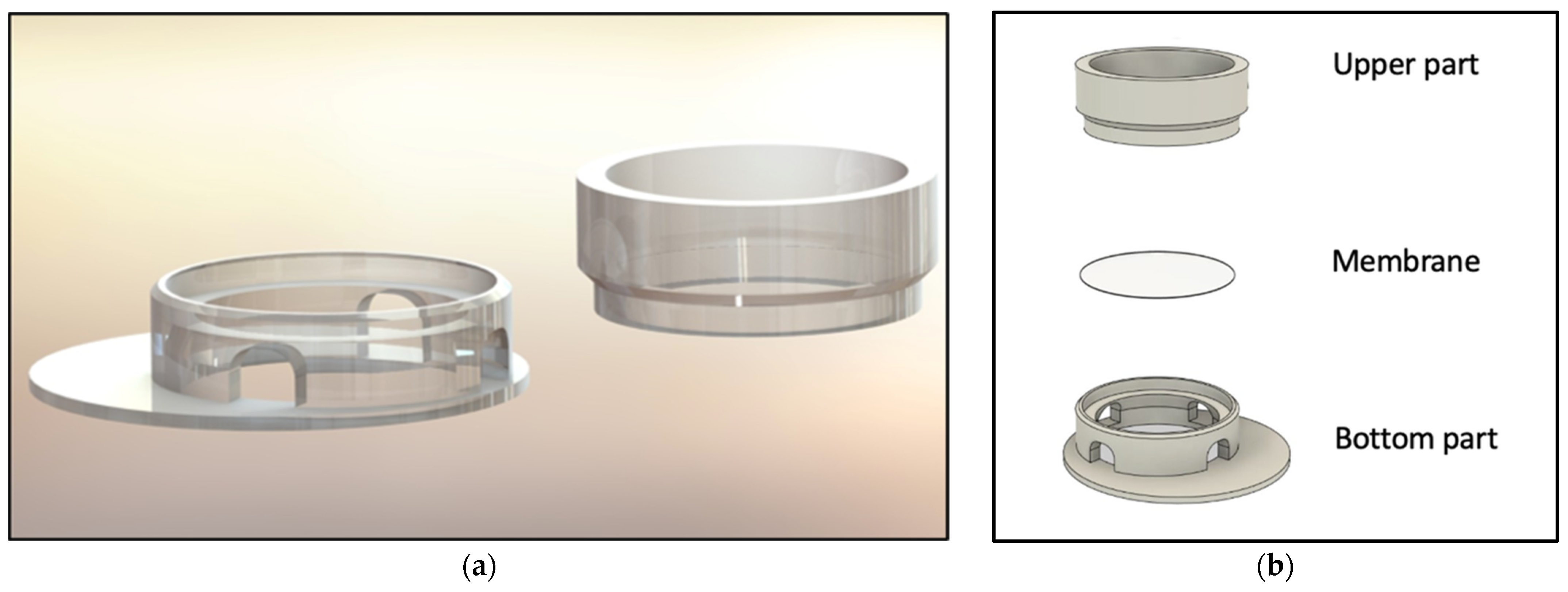 Life 12 01216 g001 550