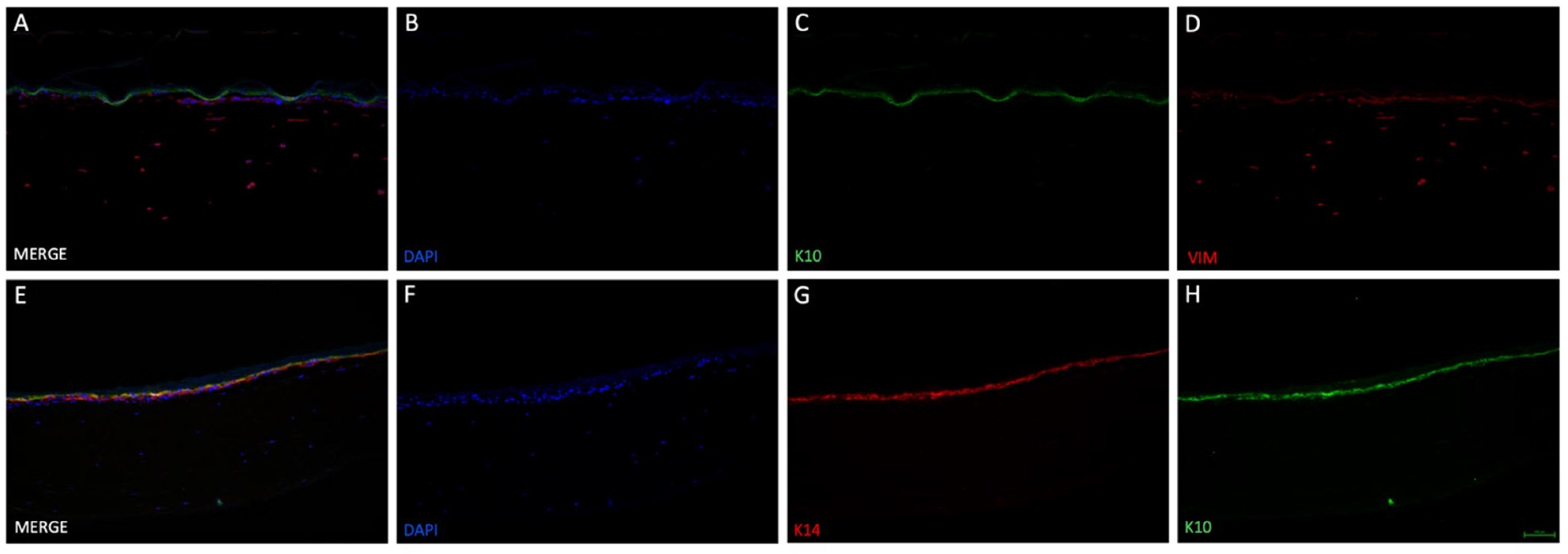 Life 12 01216 g005 550