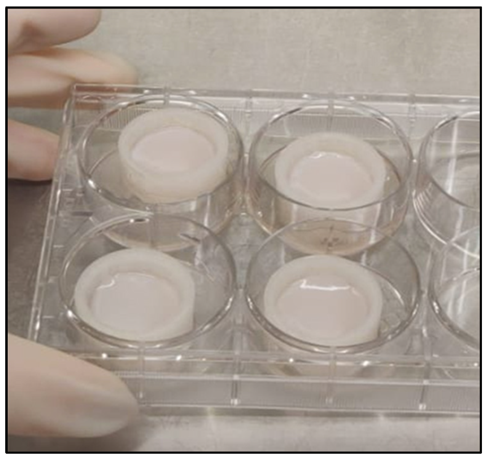 Life 12 01216 g0a1 550