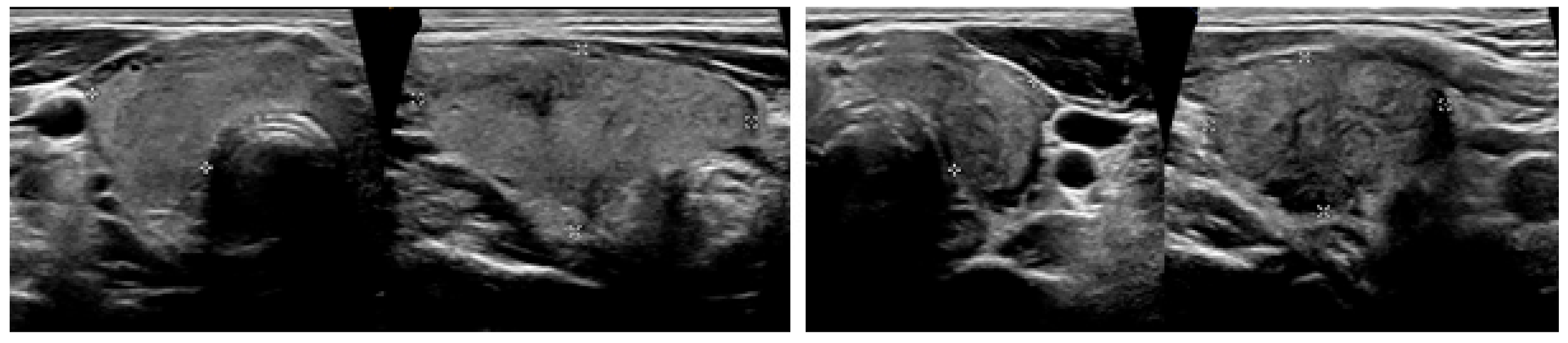 Life 12 01217 g002 550