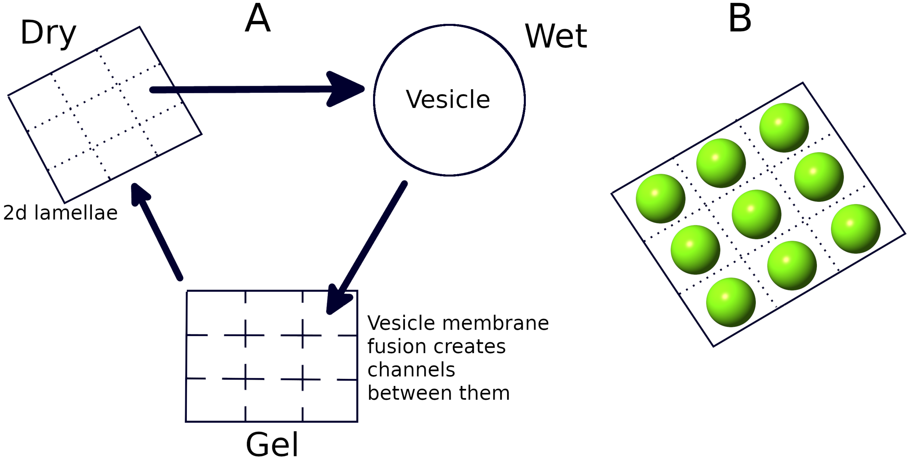 Life 12 01227 g001 550