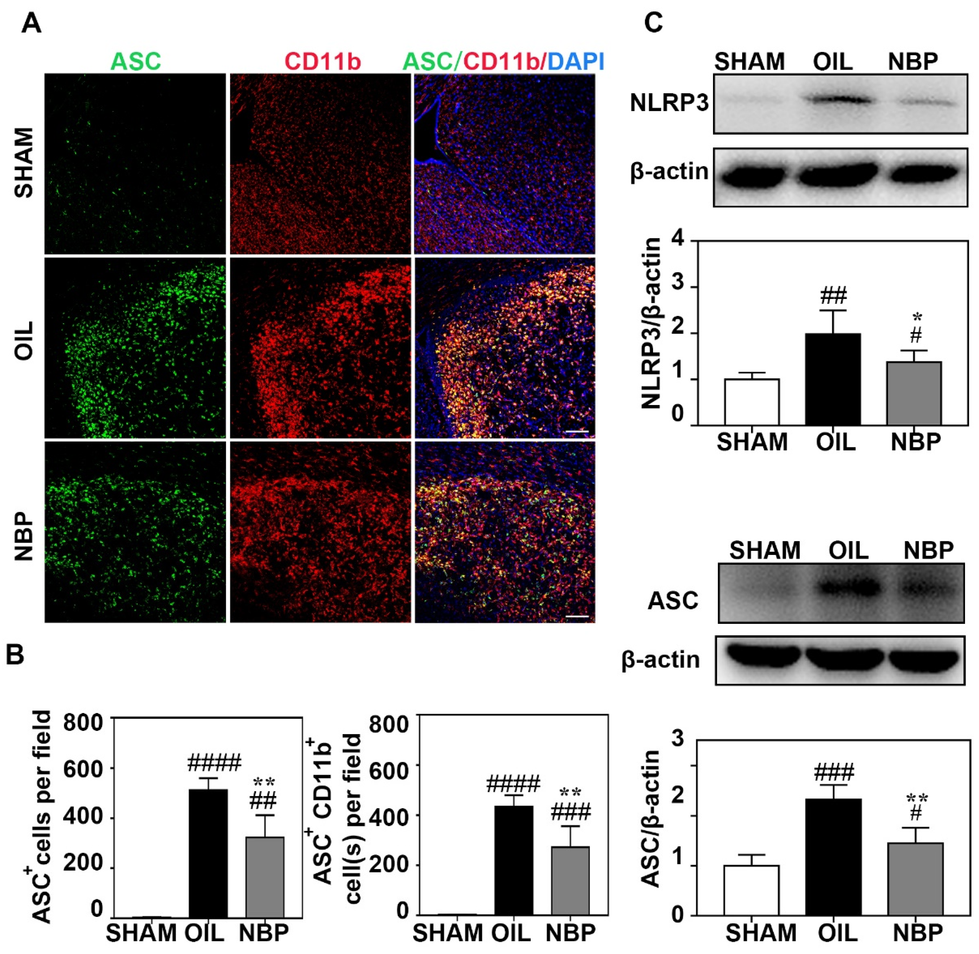Life 12 01244 g003 550