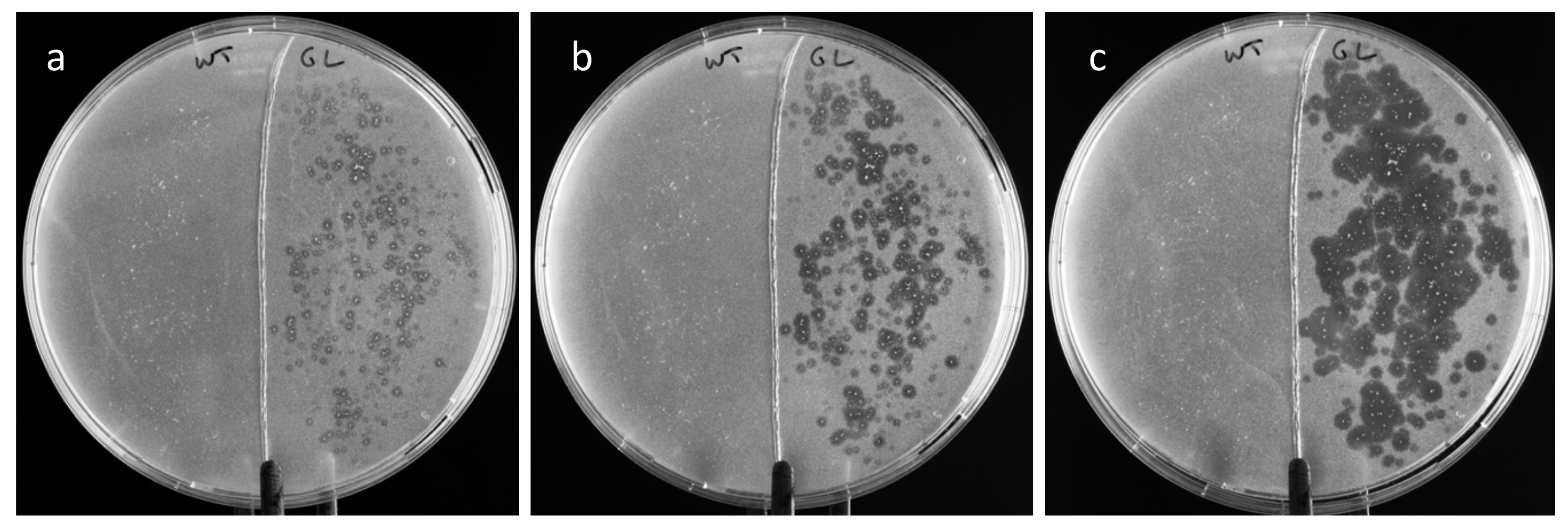 Life 12 01249 g005 550