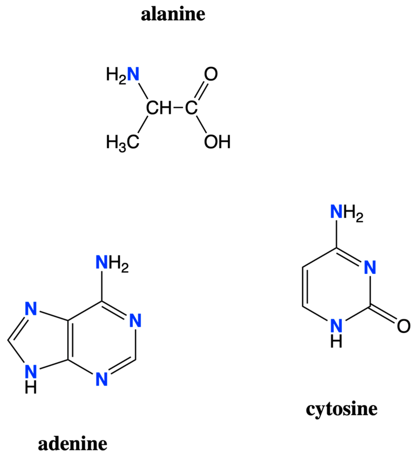 Life 12 01268 g001 Life 12 01268 g001