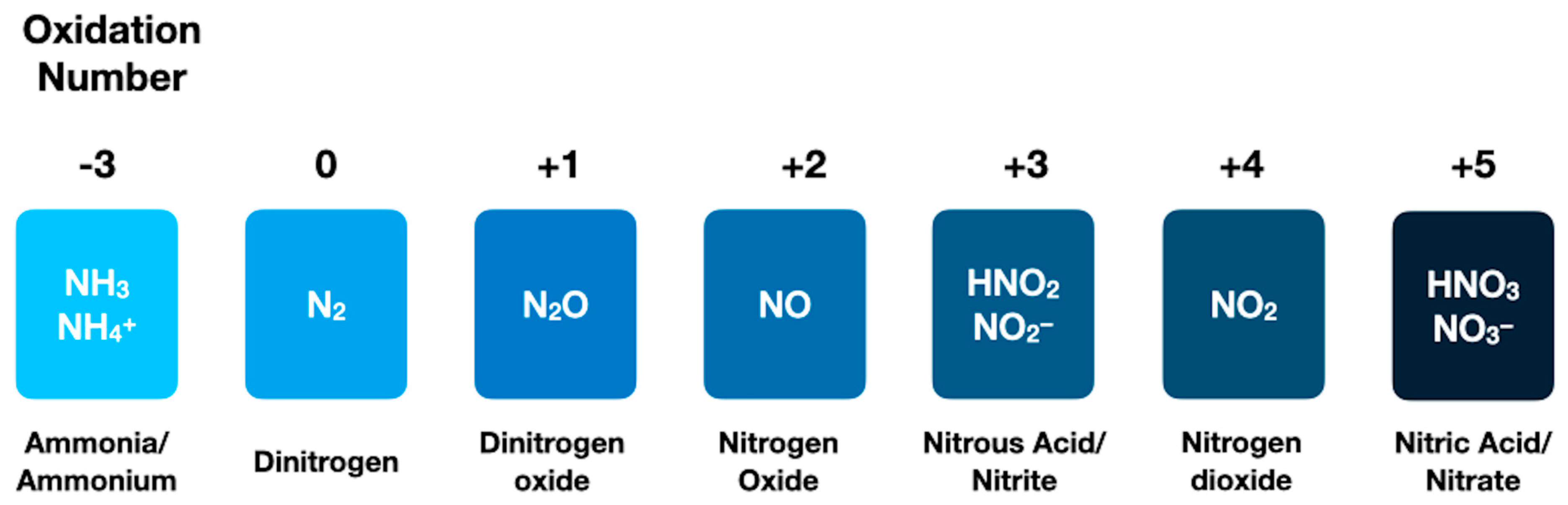 Life 12 01268 g002 Life 12 01268 g002