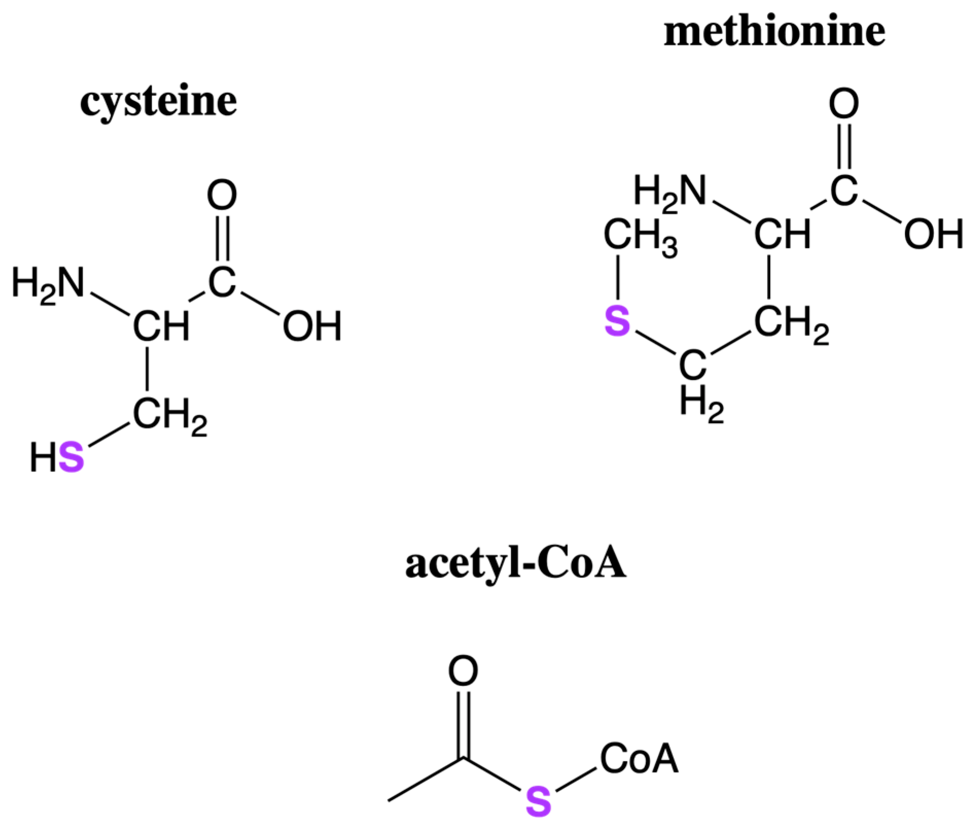 Life 12 01268 g003 Life 12 01268 g003