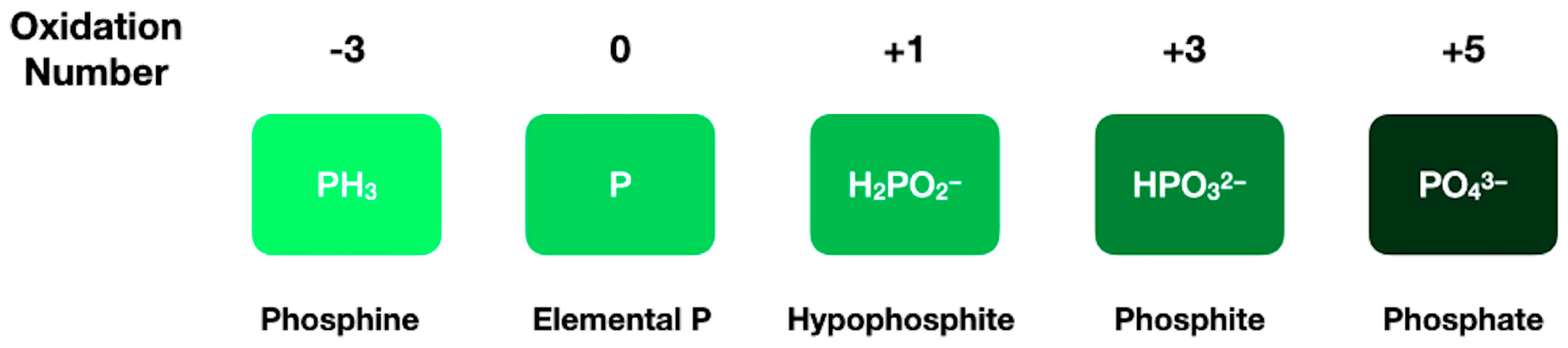 Life 12 01268 g006 Life 12 01268 g006