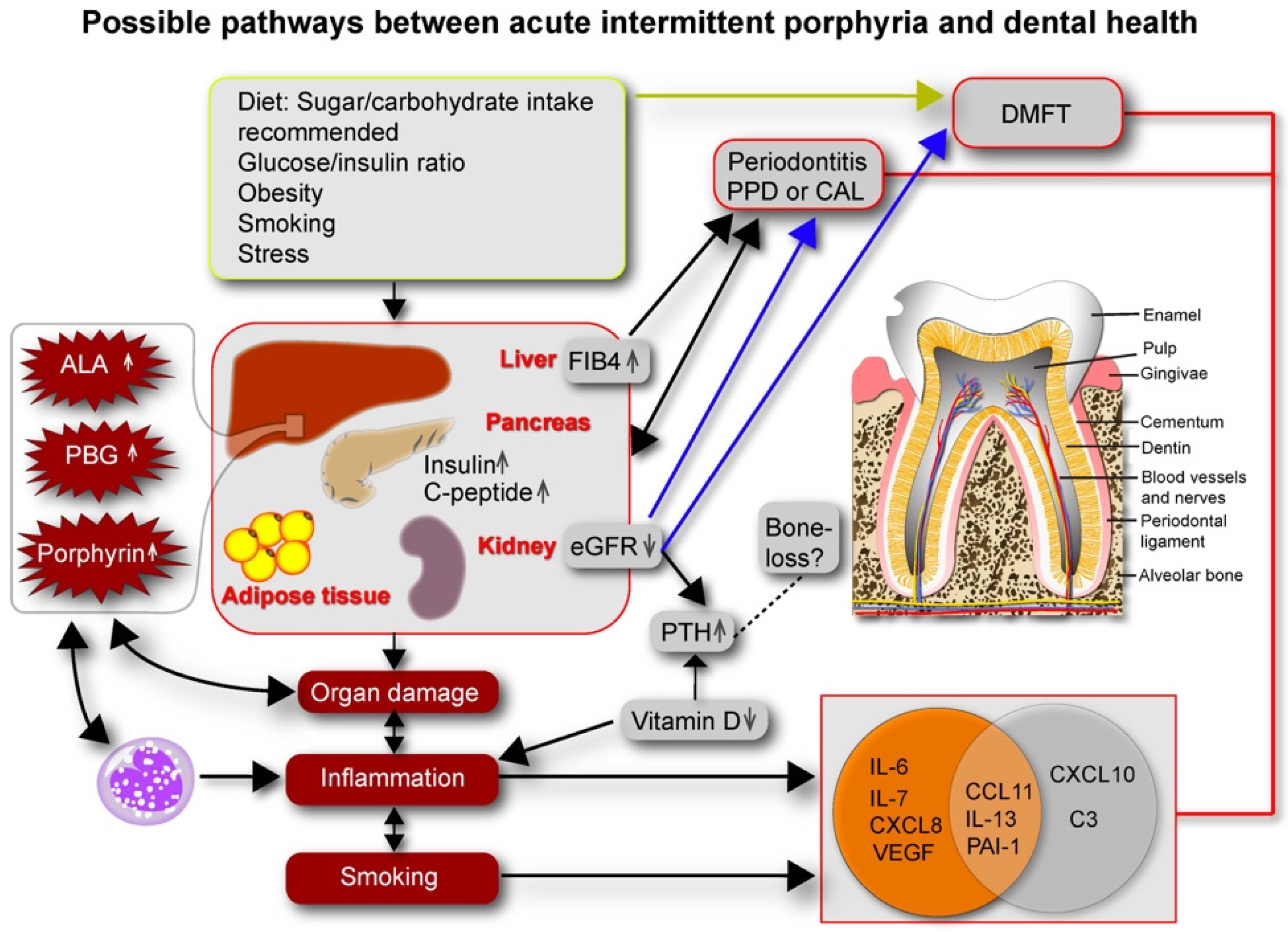 Life 12 01270 g001 Life 12 01270 g001