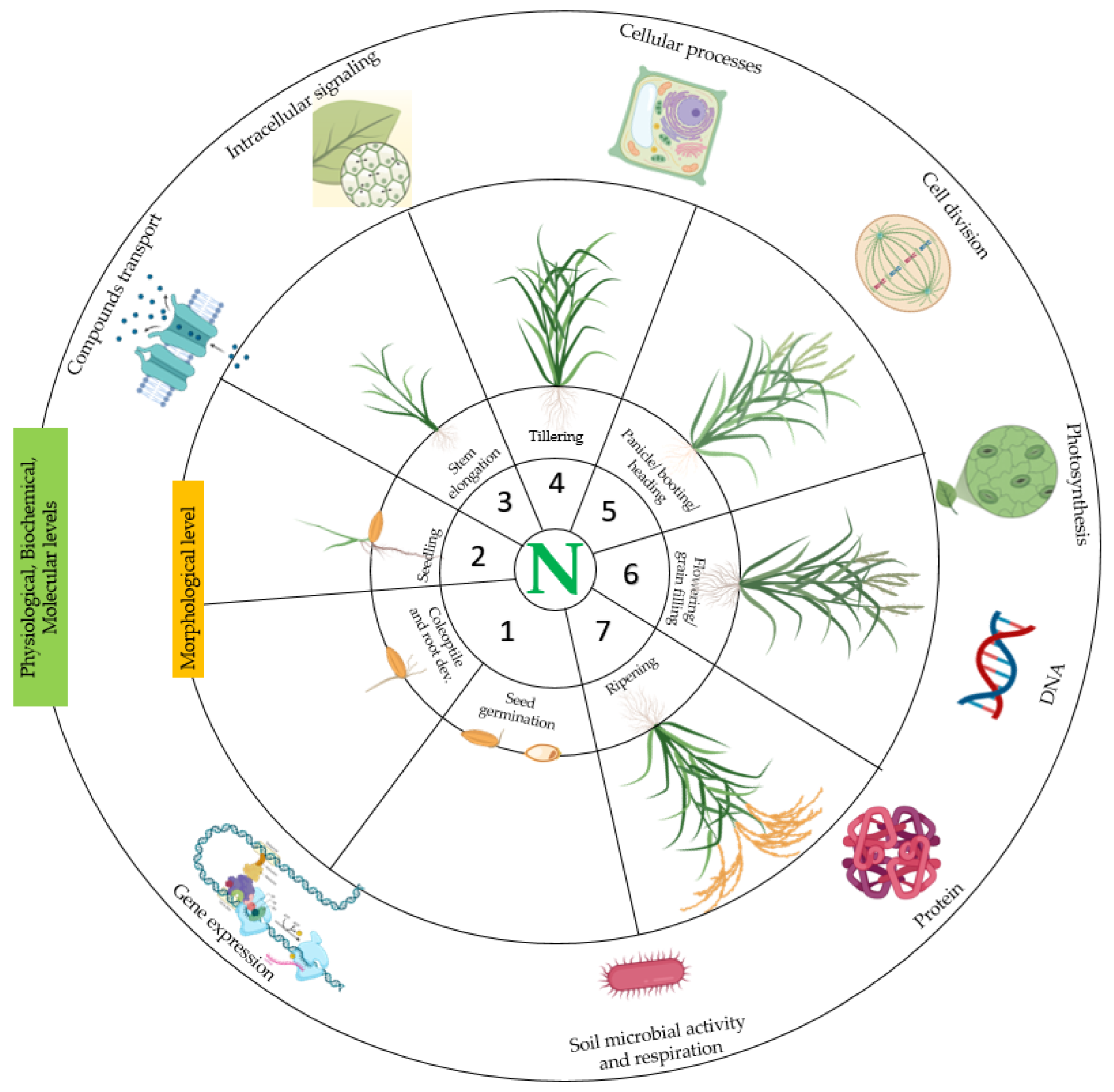 Life 12 01272 g002 550