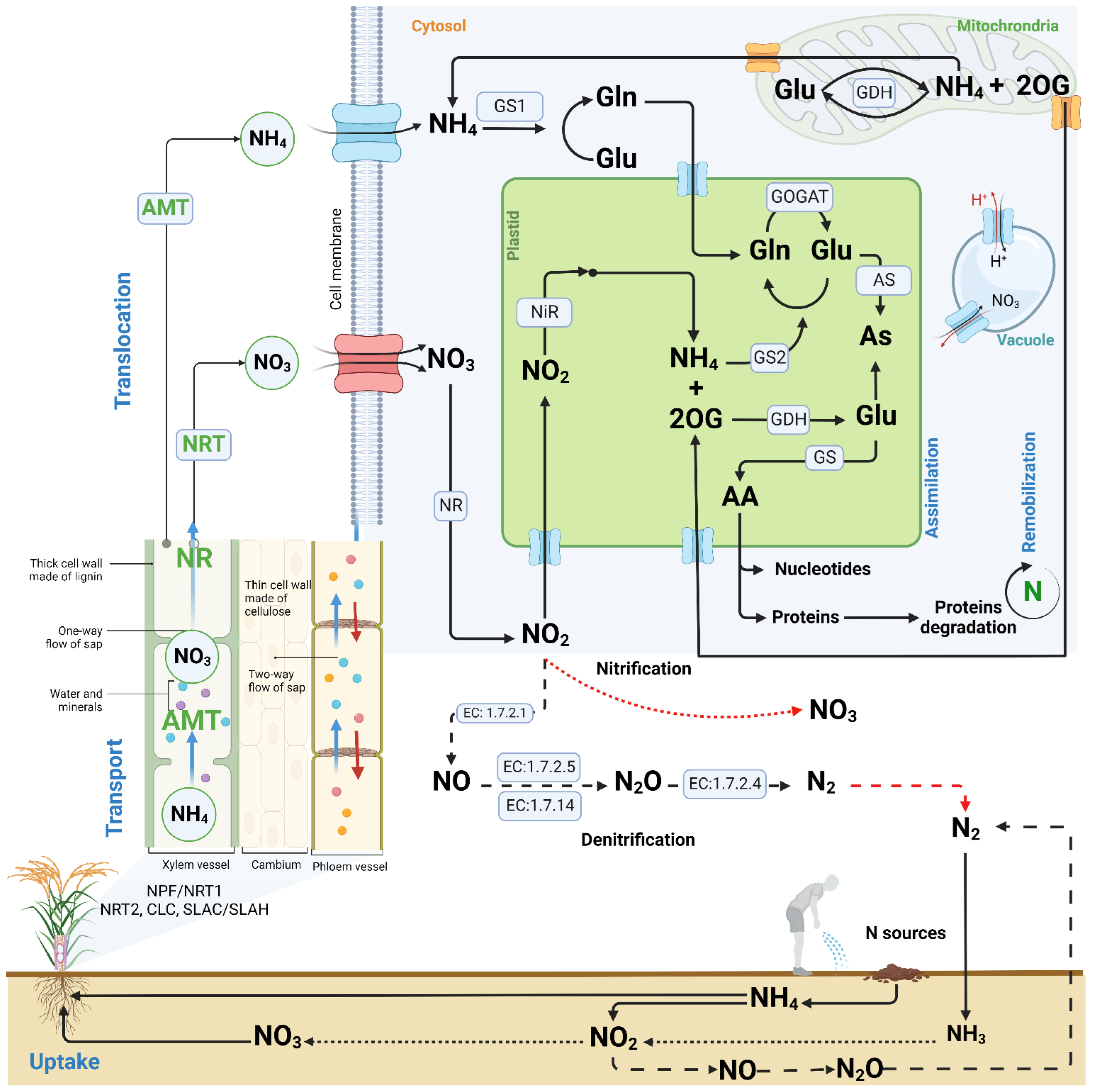 Life 12 01272 g003 550