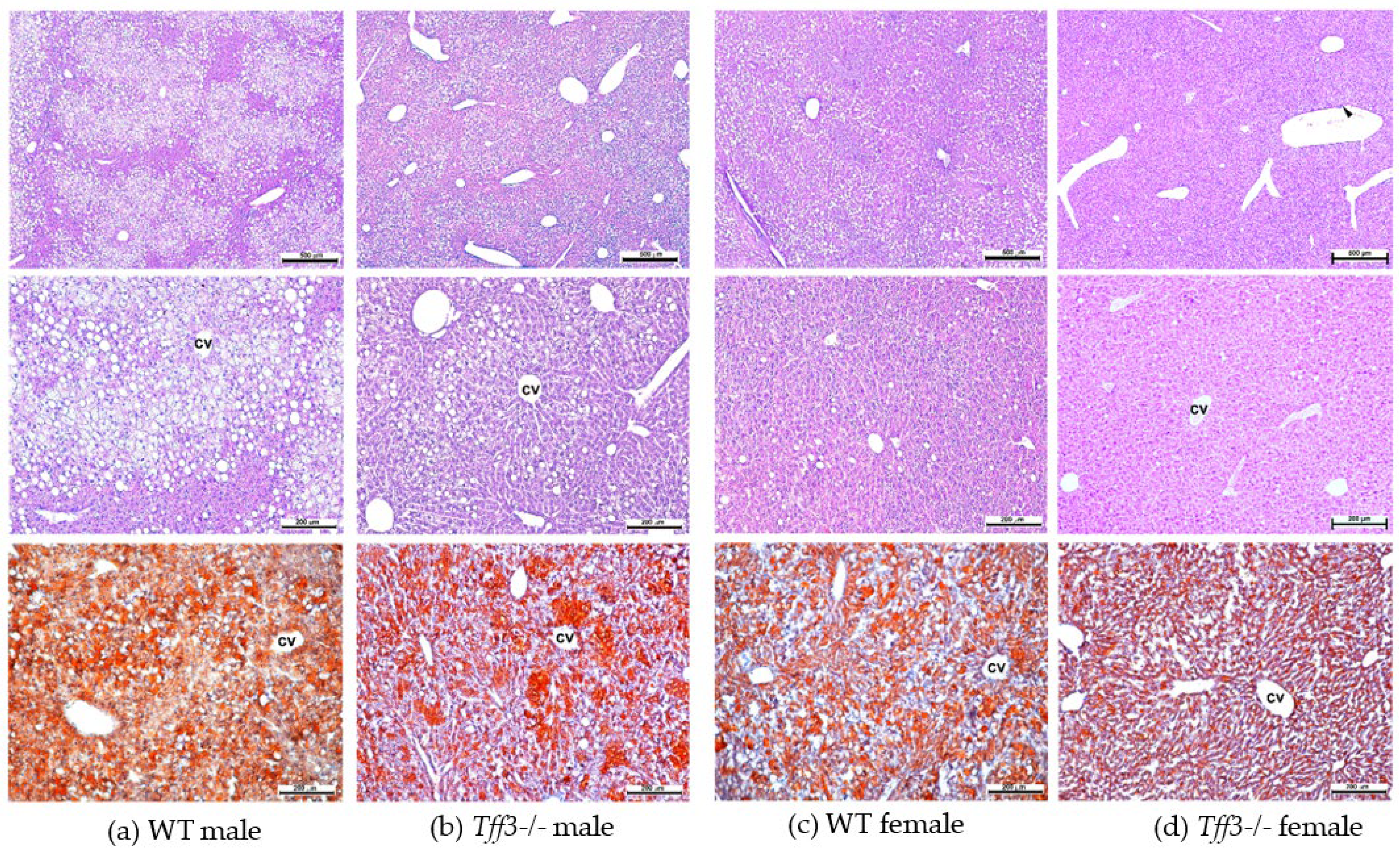 Life 12 01288 g004 550