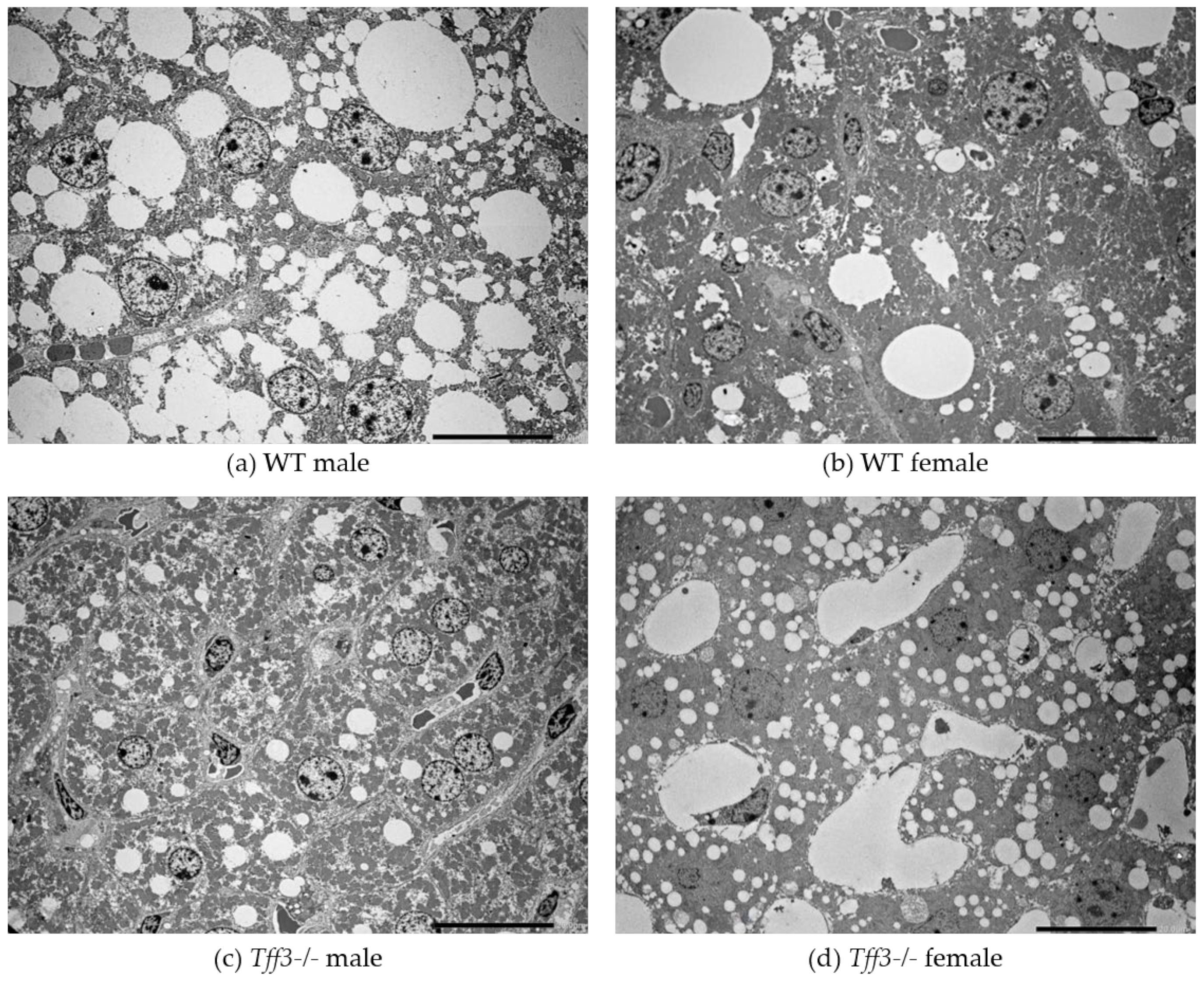 Life 12 01288 g005 550