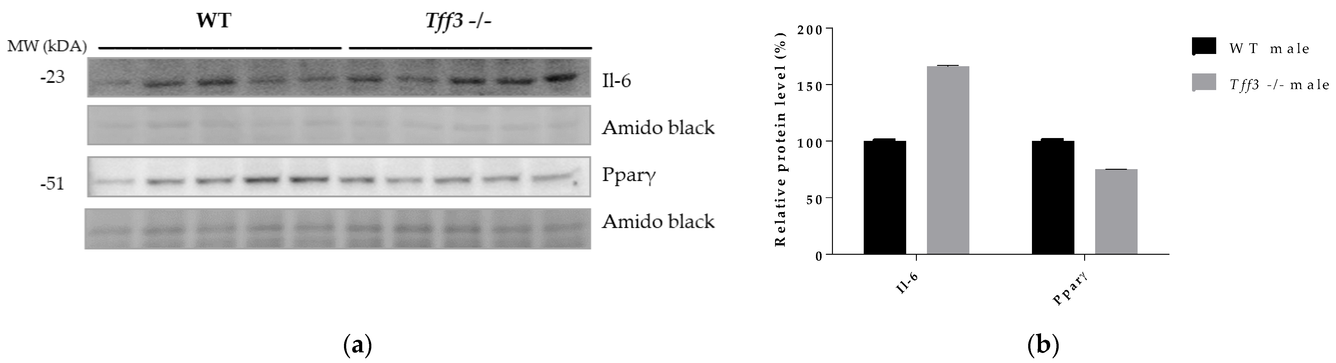 Life 12 01288 g008 550