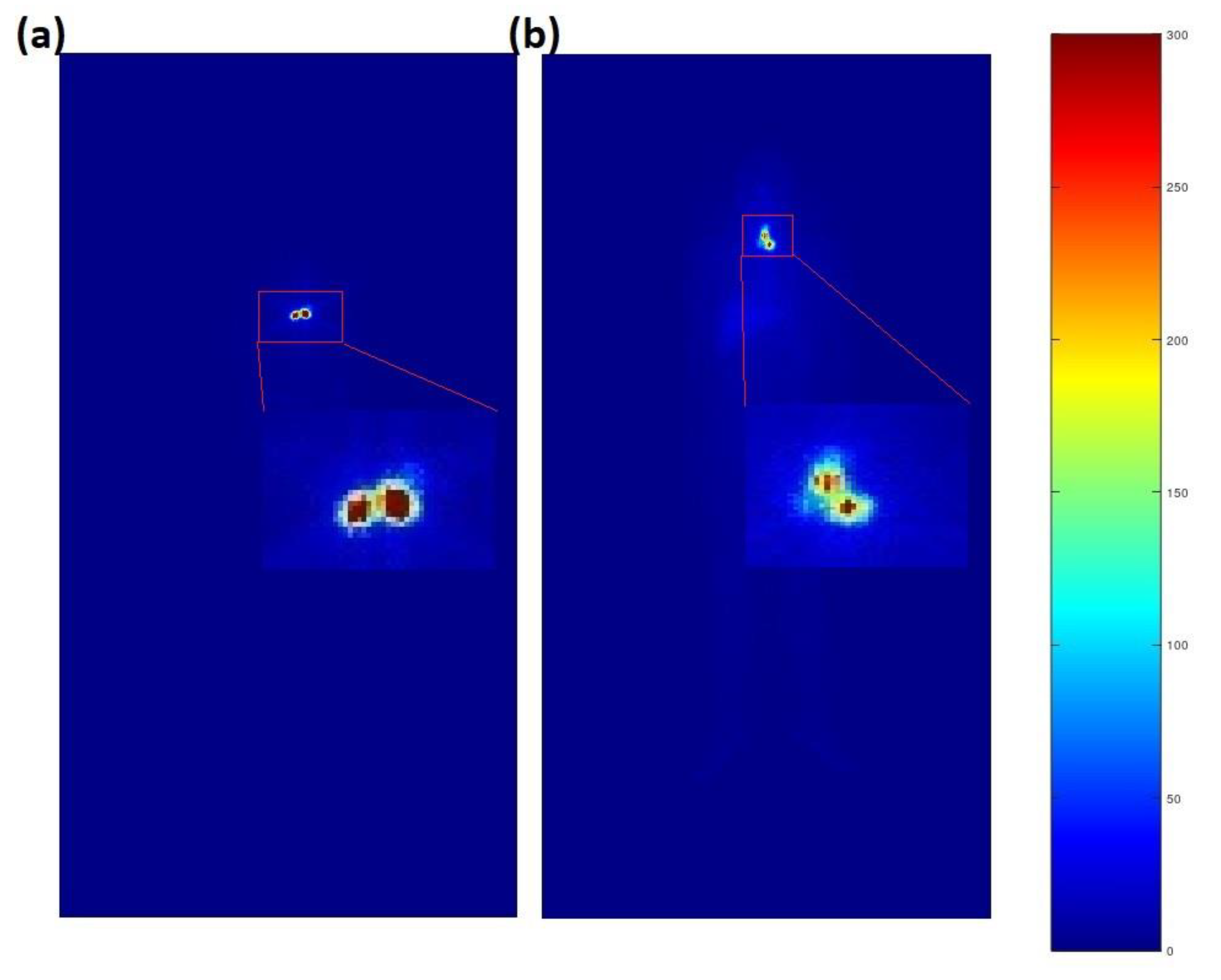 Life 12 01303 g002 Life 12 01303 g002