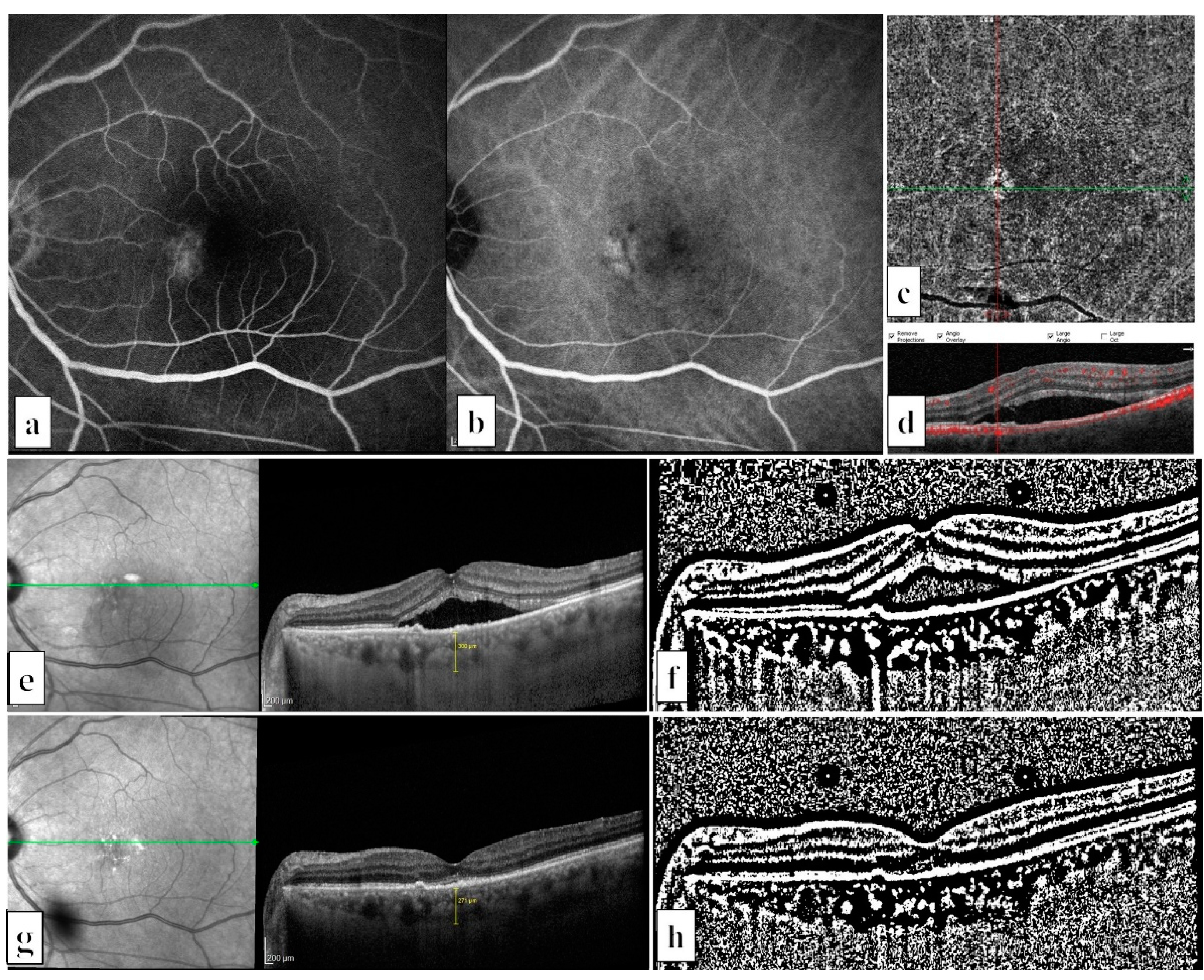 Life 12 01304 g002 550