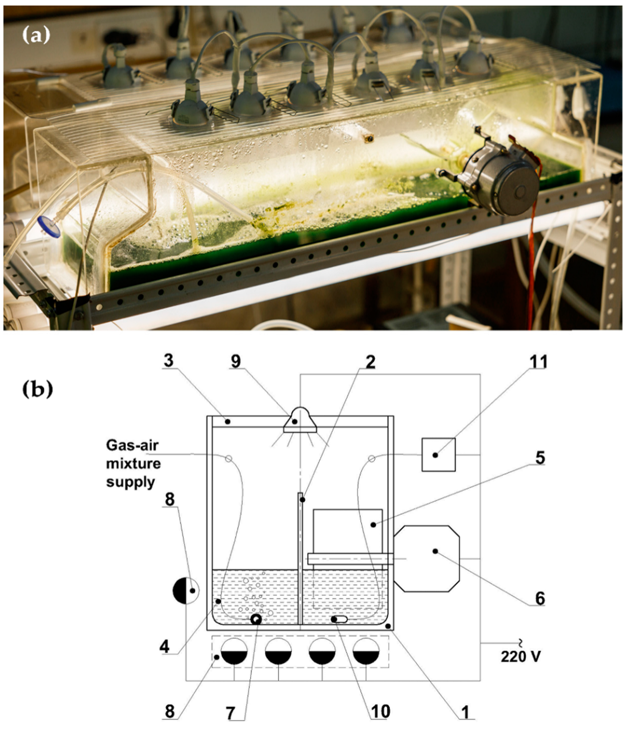 Life 12 01309 g001 550