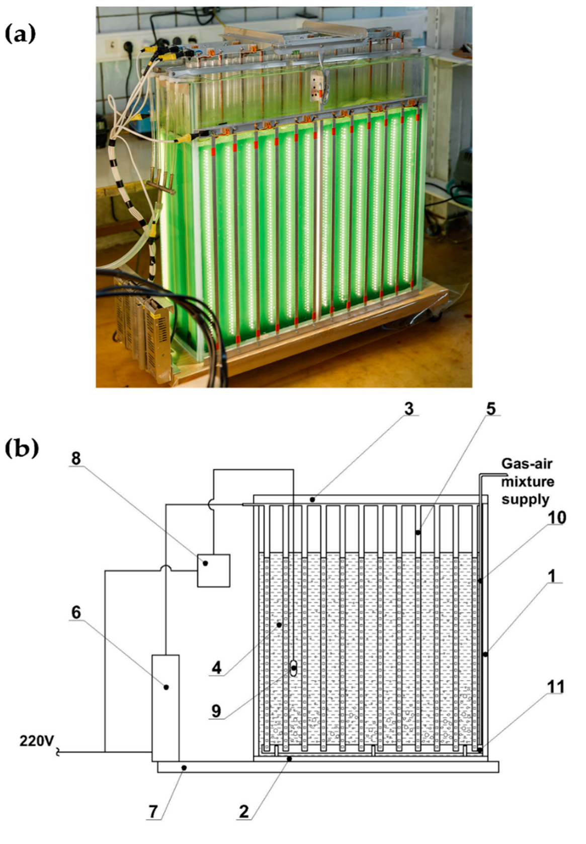 Life 12 01309 g002 550