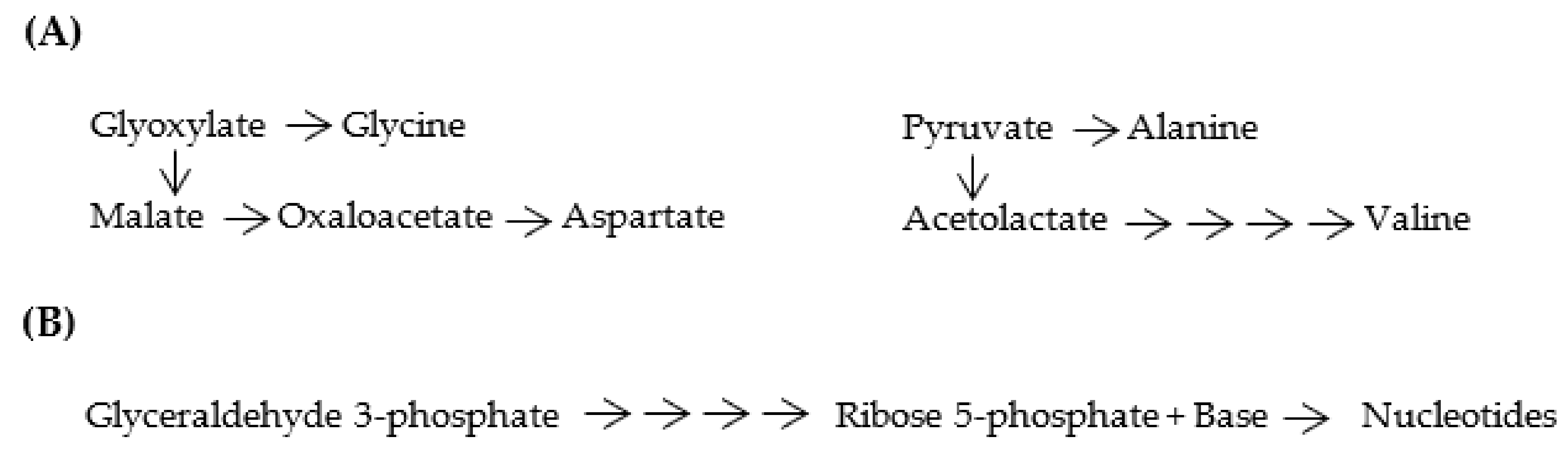 Life 12 01319 g007 550