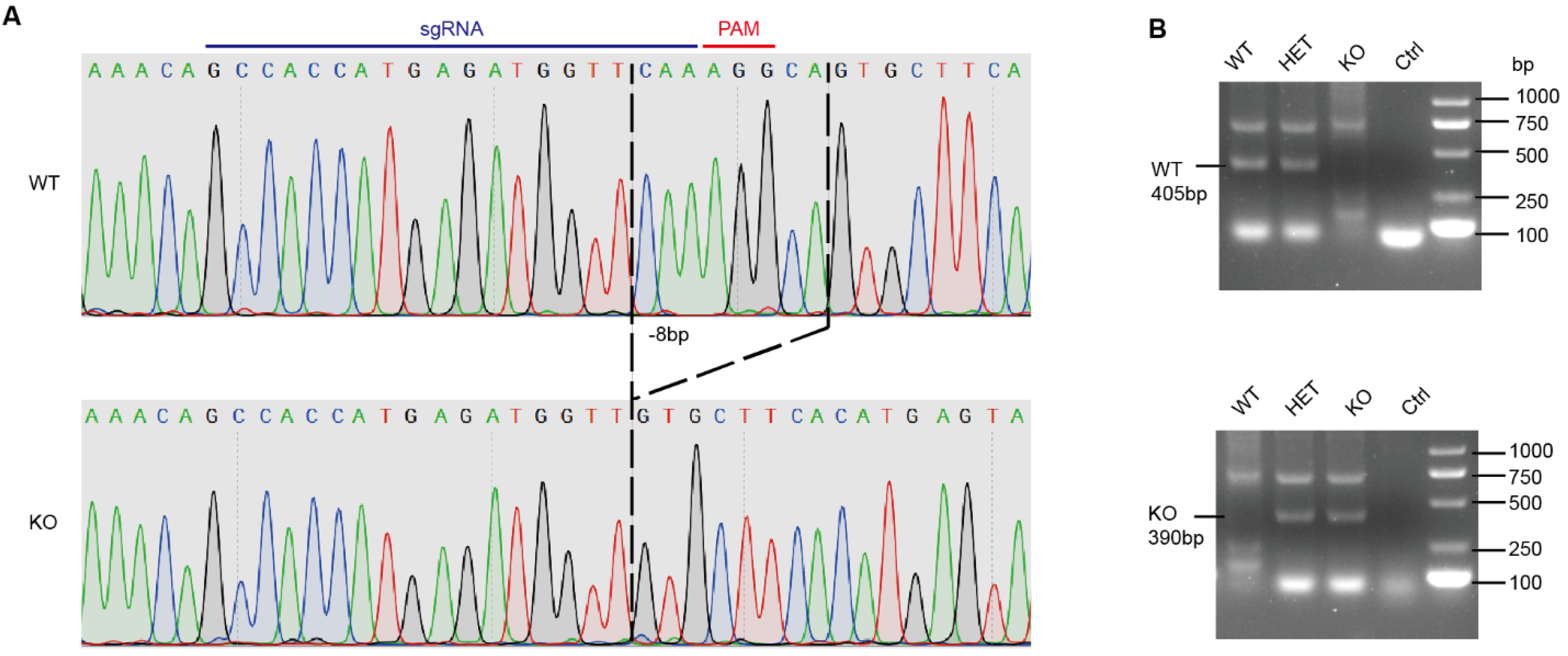 Life 12 01324 g001 Life 12 01324 g001