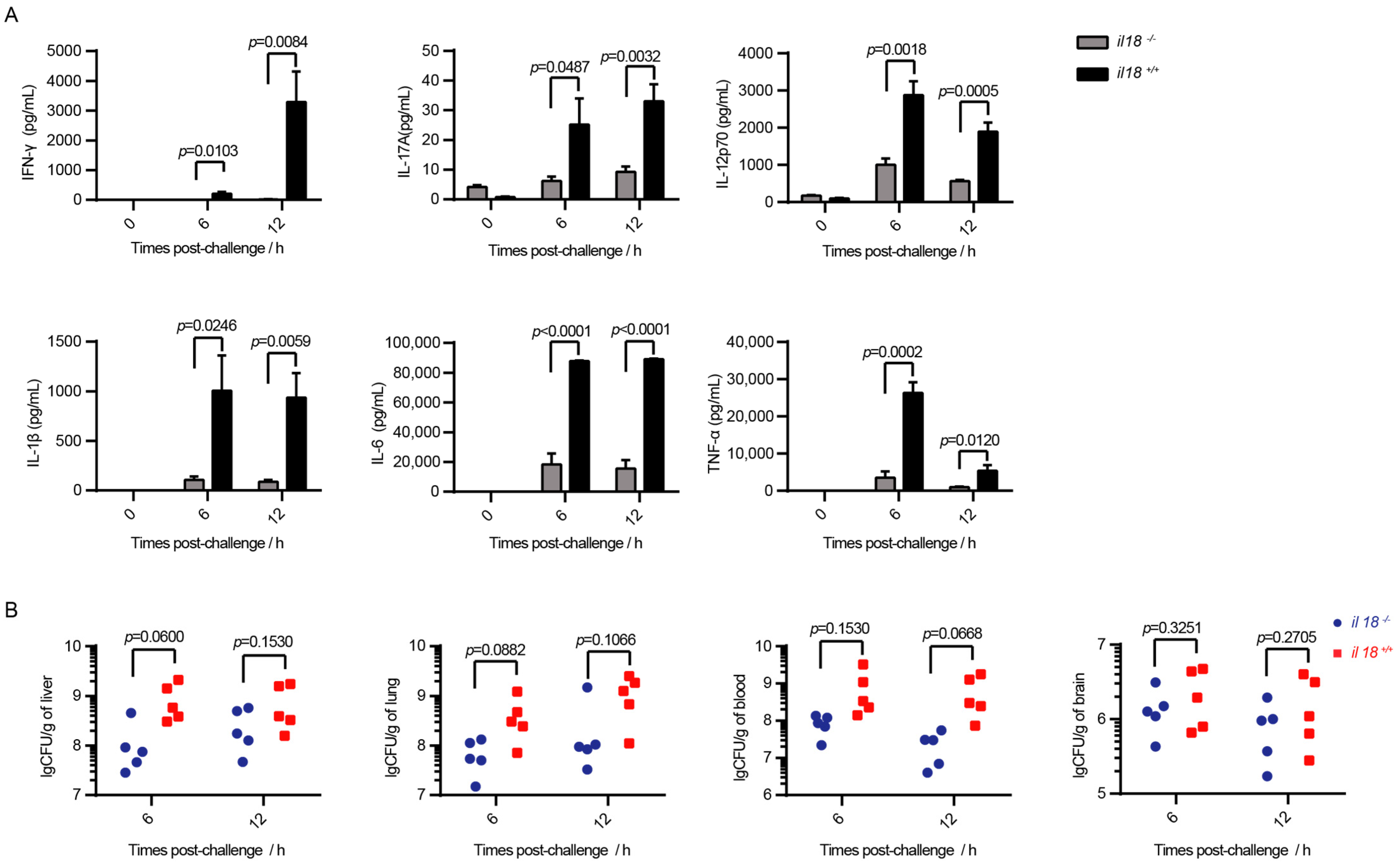 Life 12 01324 g004 Life 12 01324 g004