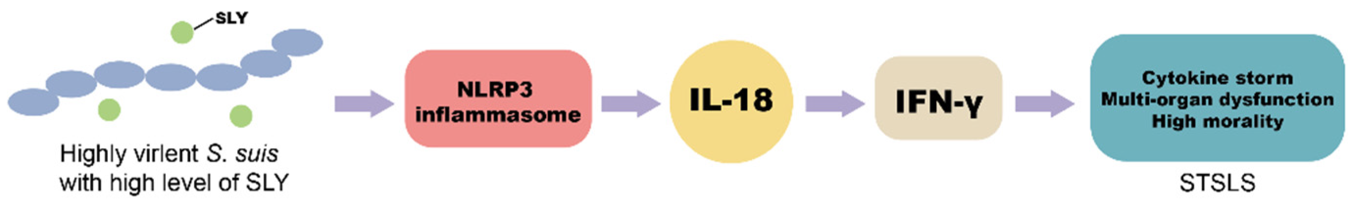 Life 12 01324 g005 Life 12 01324 g005