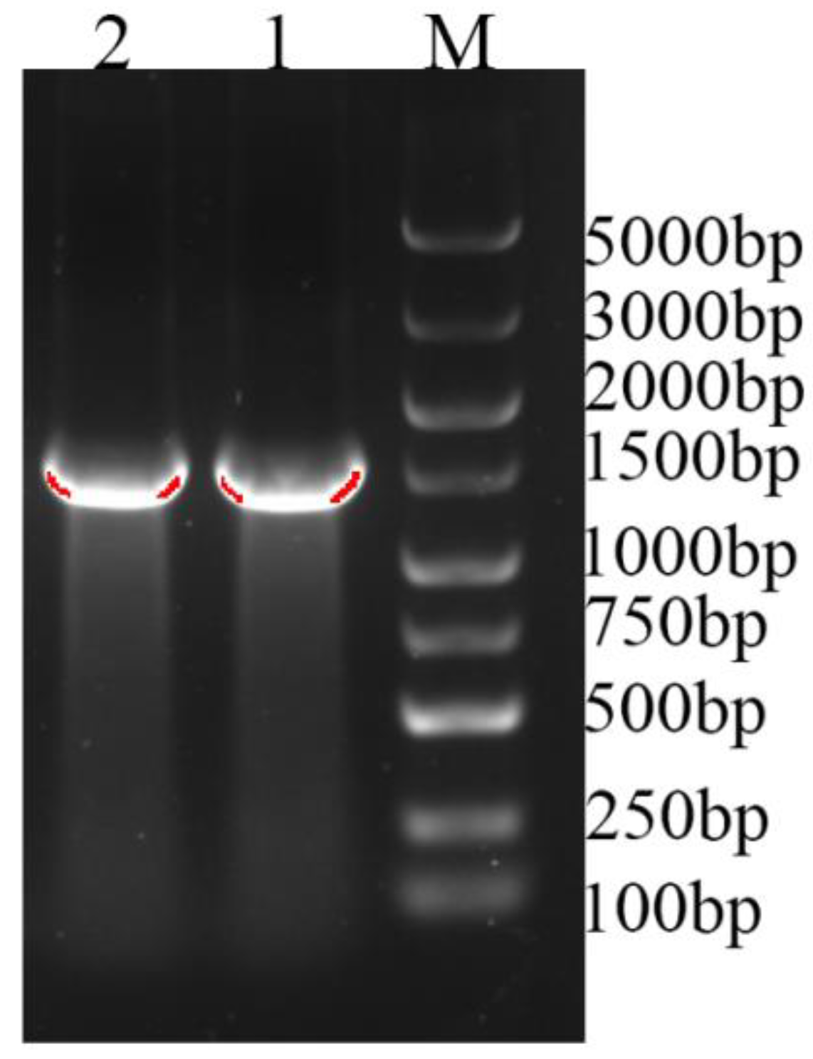 Life 12 01334 g001 550