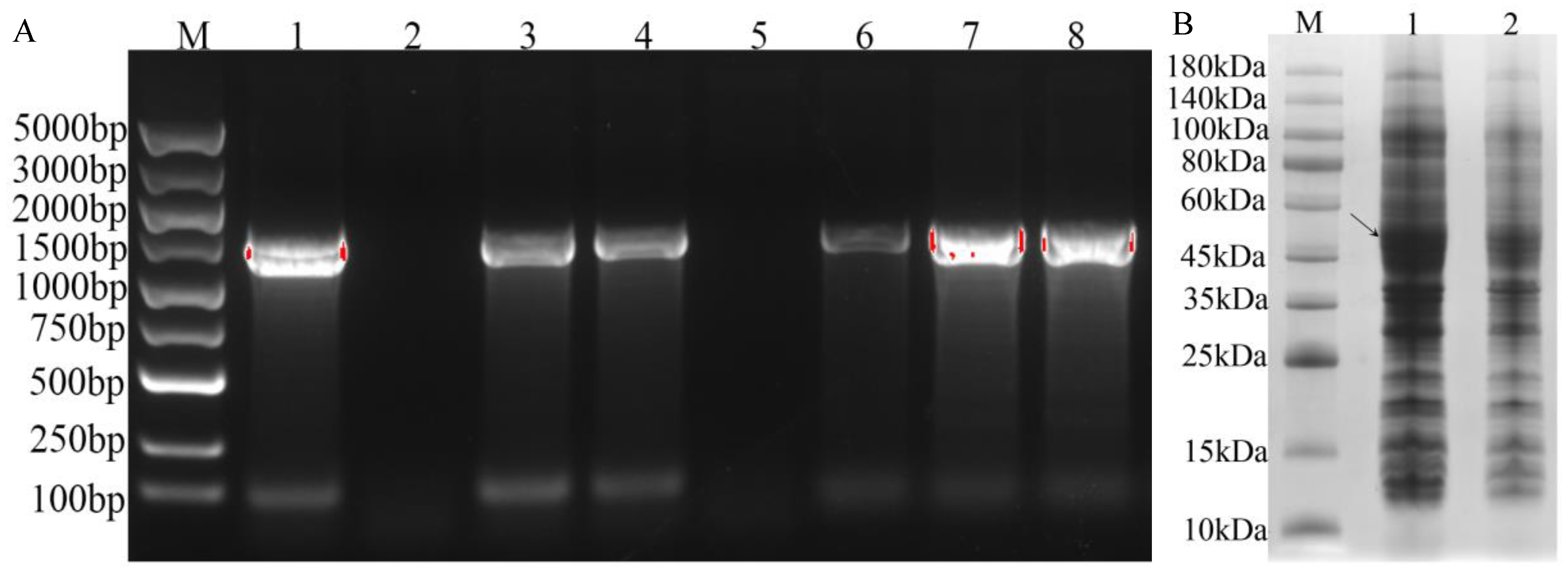 Life 12 01334 g008 550