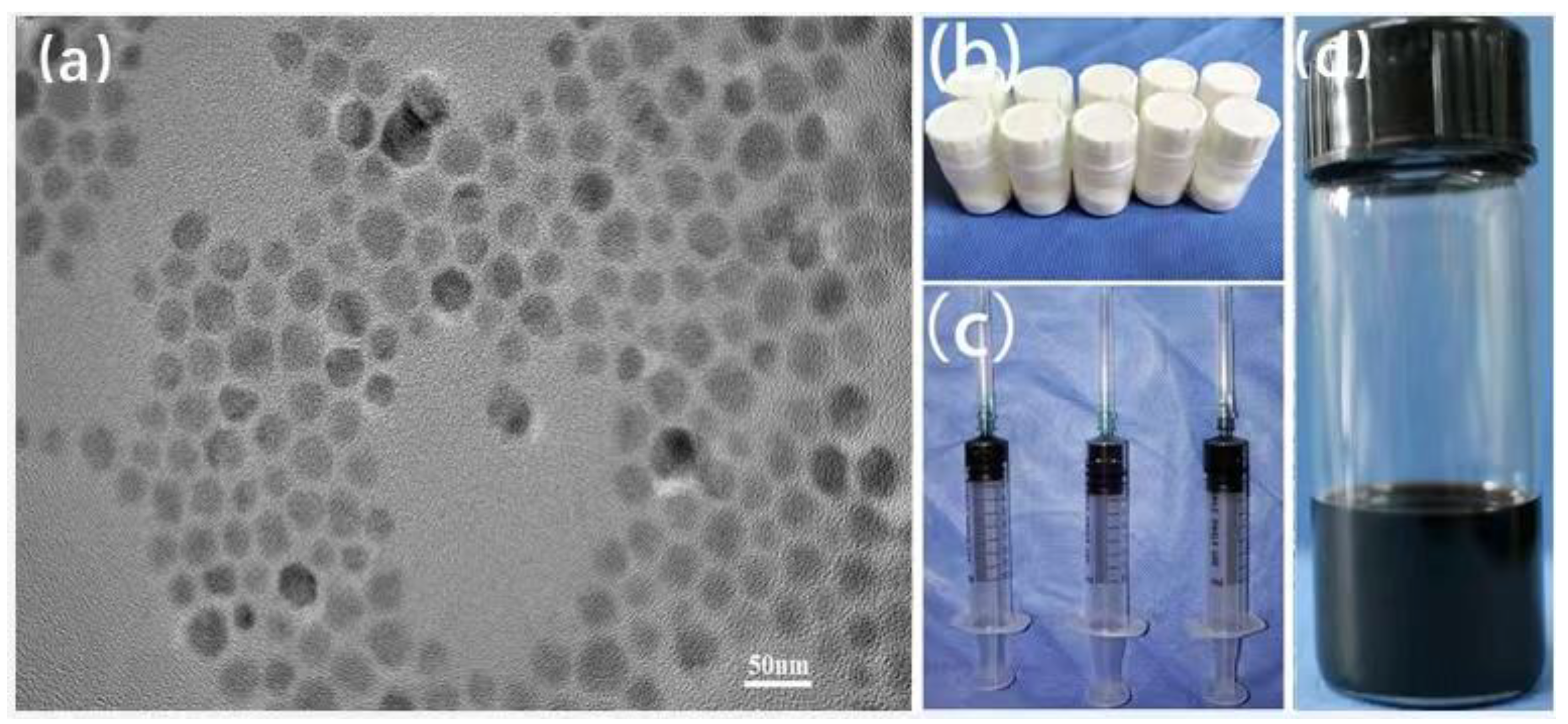 Life 12 01342 g001 550