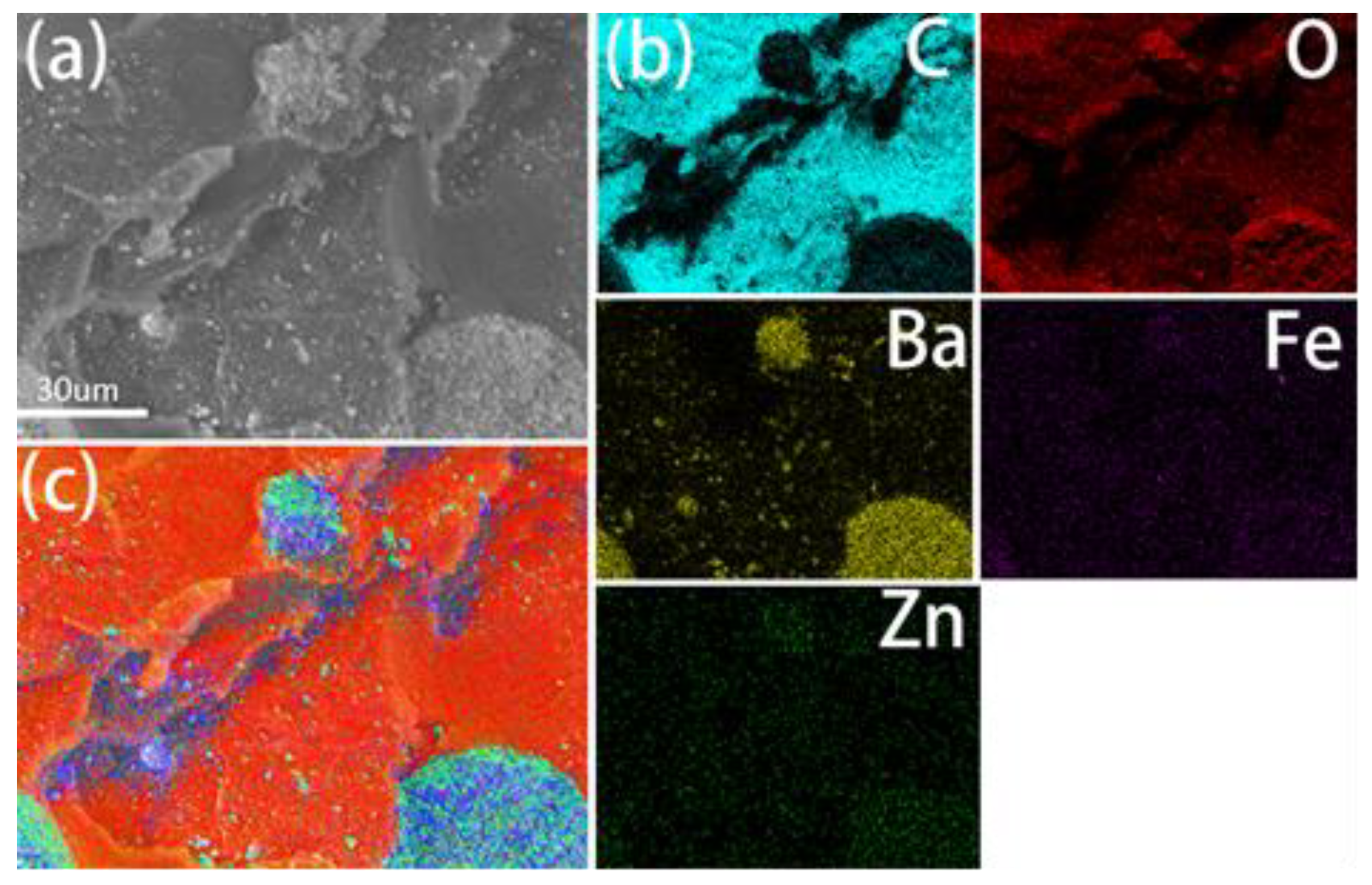 Life 12 01342 g002 550