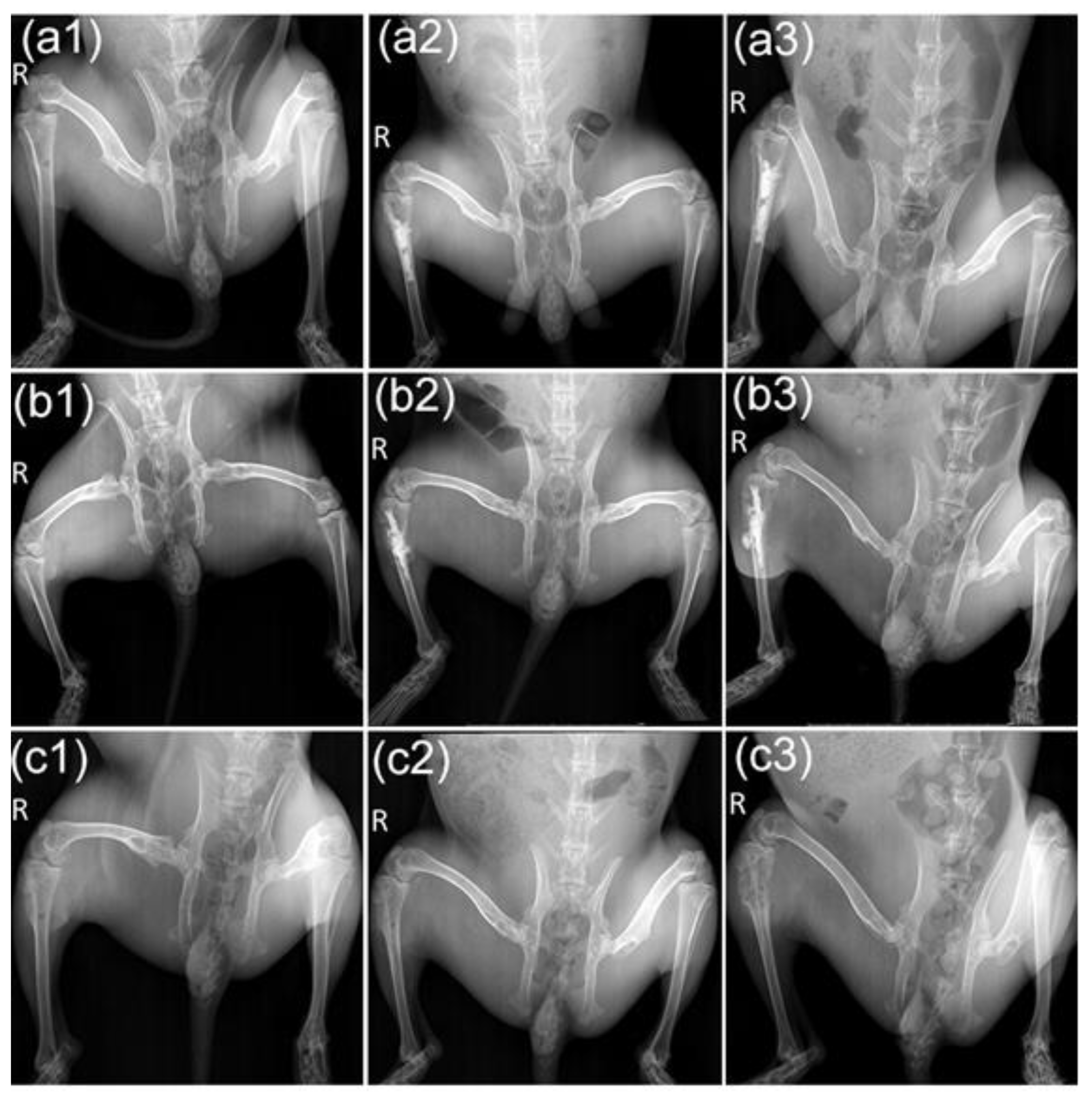 Life 12 01342 g005 550