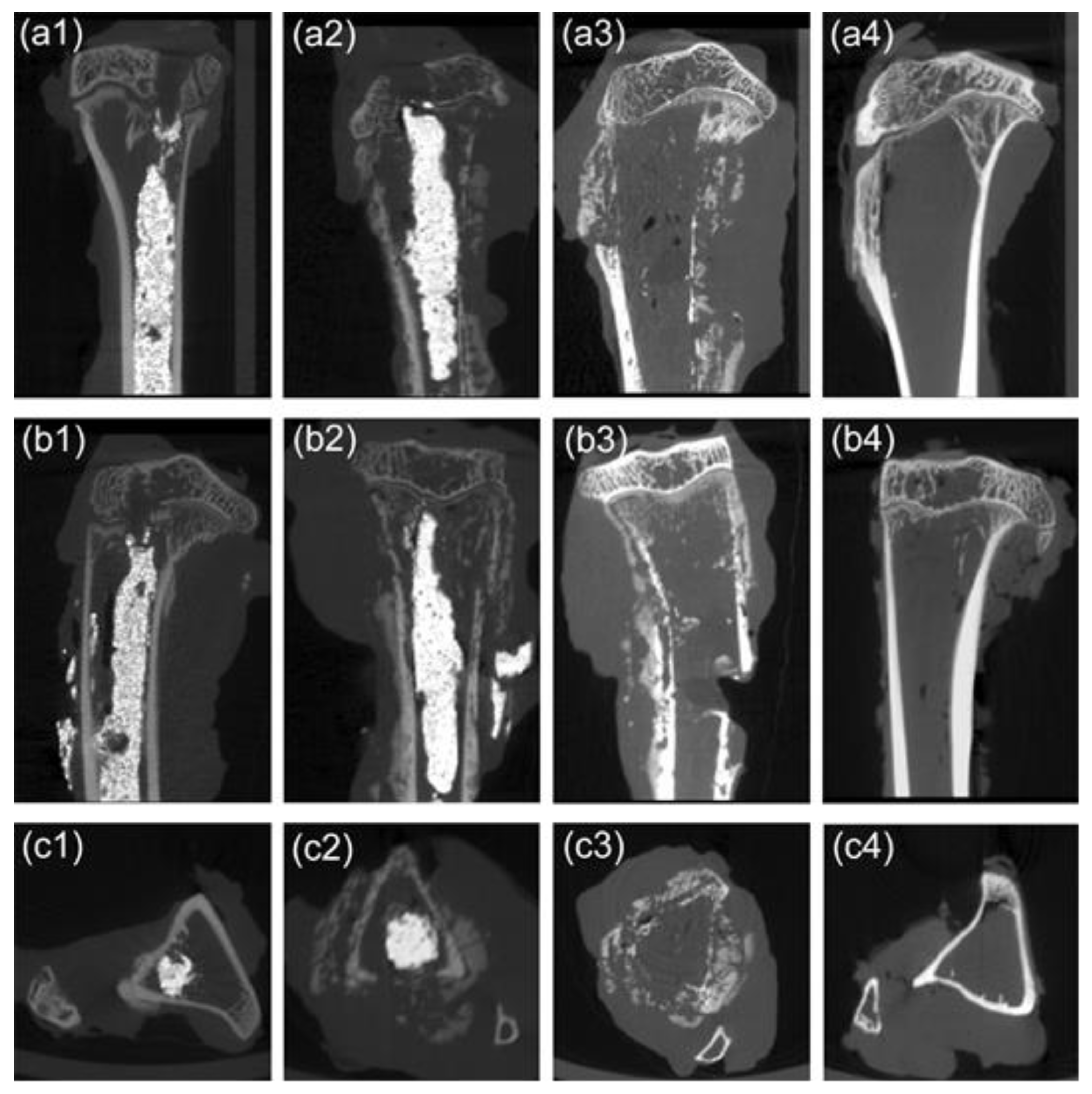 Life 12 01342 g006 550