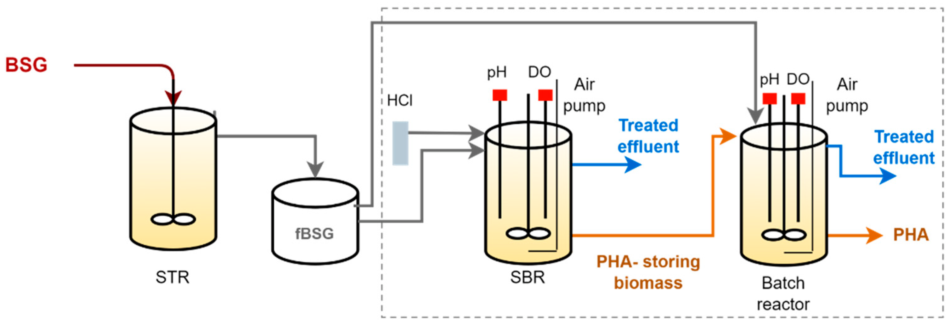Life 12 01347 g001 550