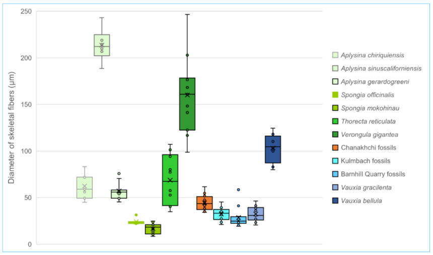 Life 12 01348 g002 550
