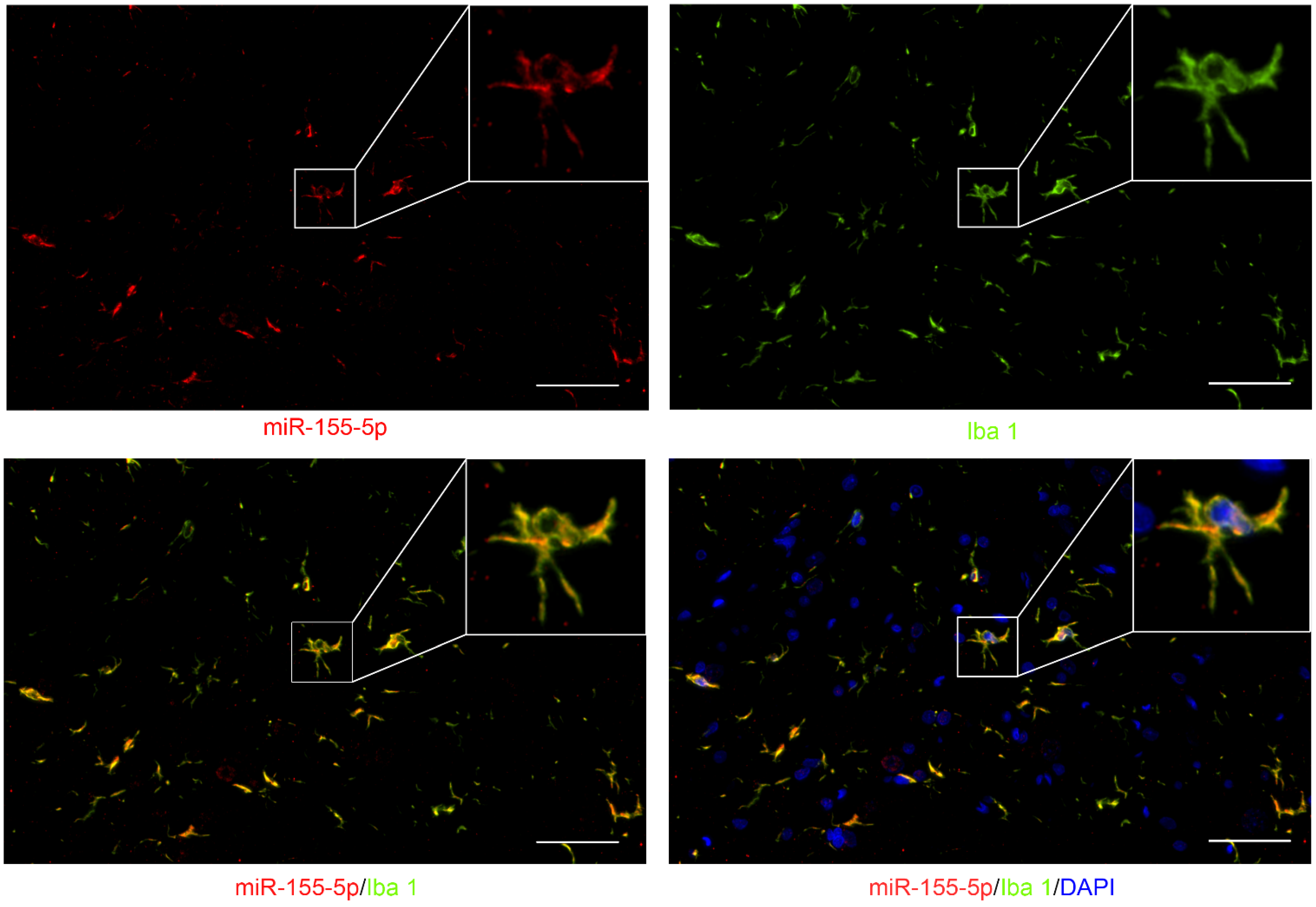 Life 12 01349 g002 550