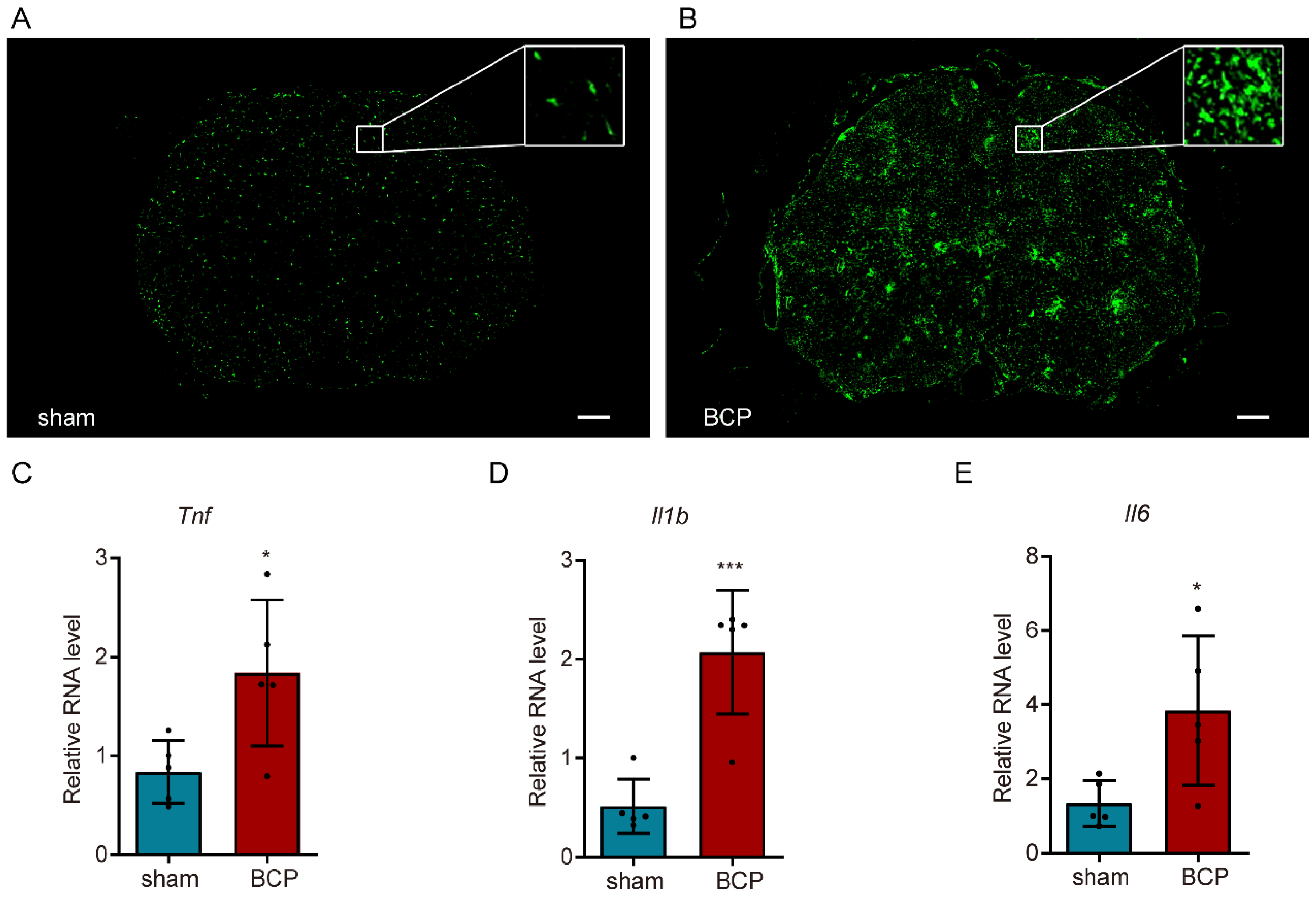 Life 12 01349 g003 550