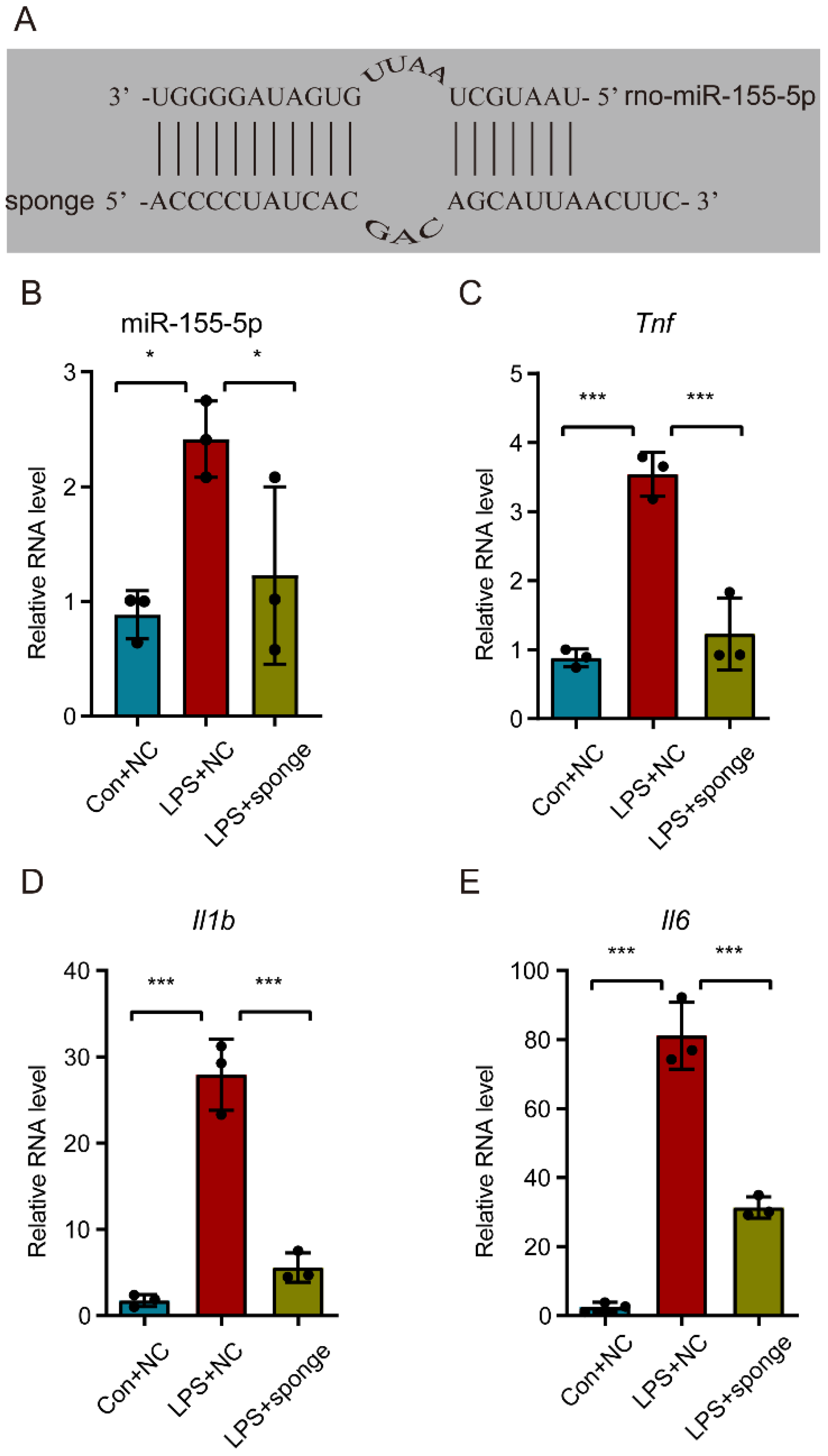 Life 12 01349 g004 550