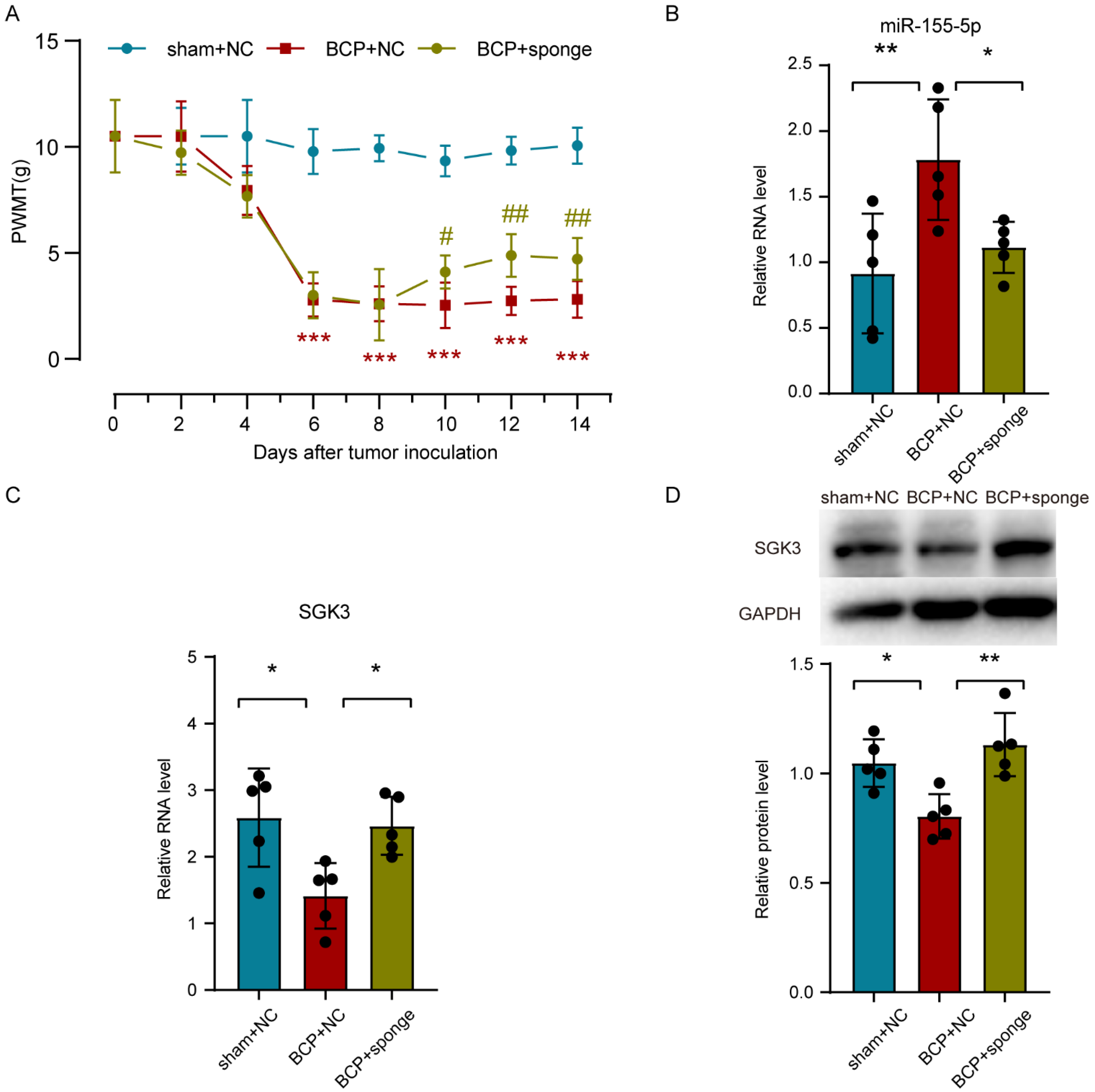 Life 12 01349 g006 550