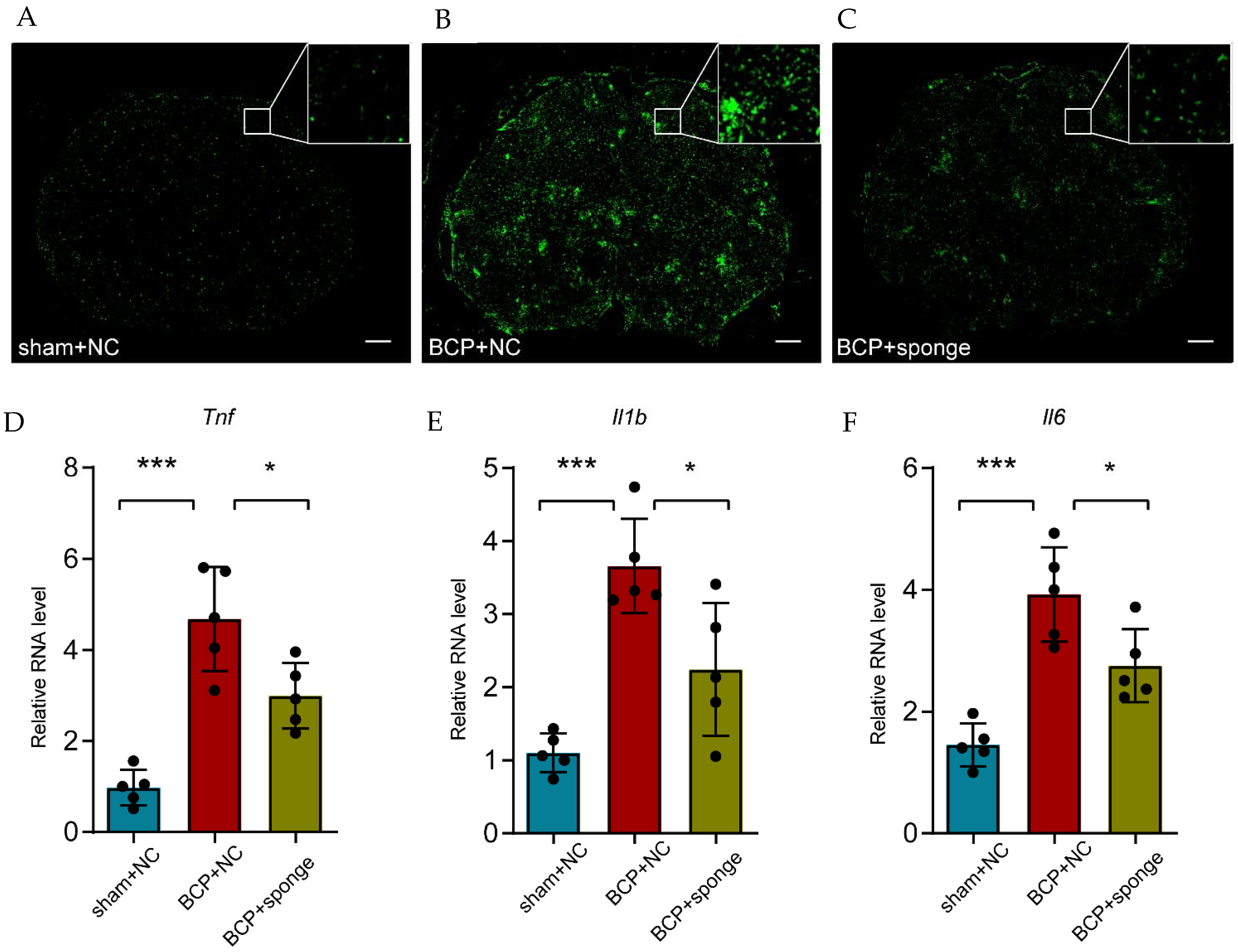 Life 12 01349 g007 550