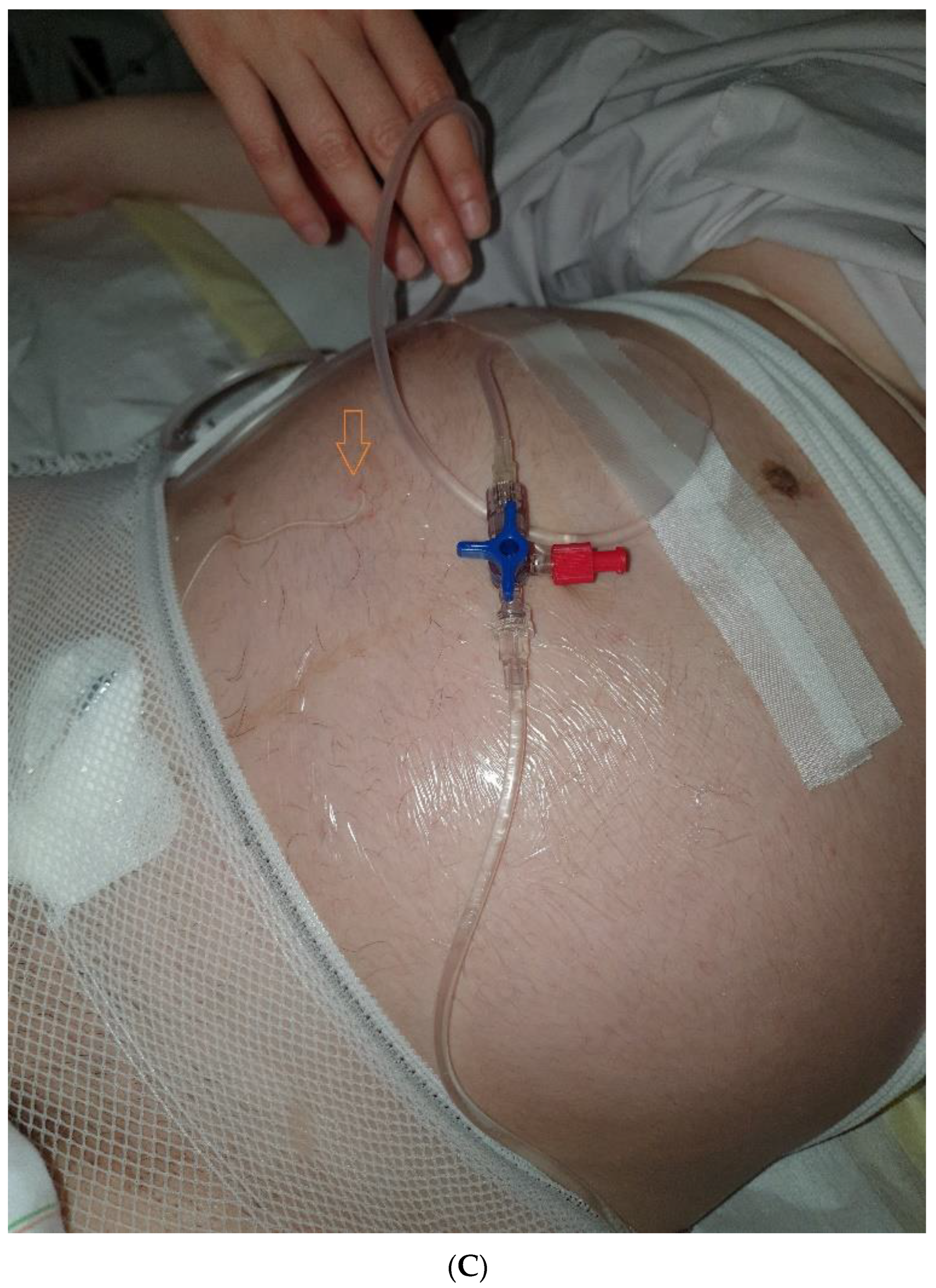 Life 12 01351 g004b Life 12 01351 g004b