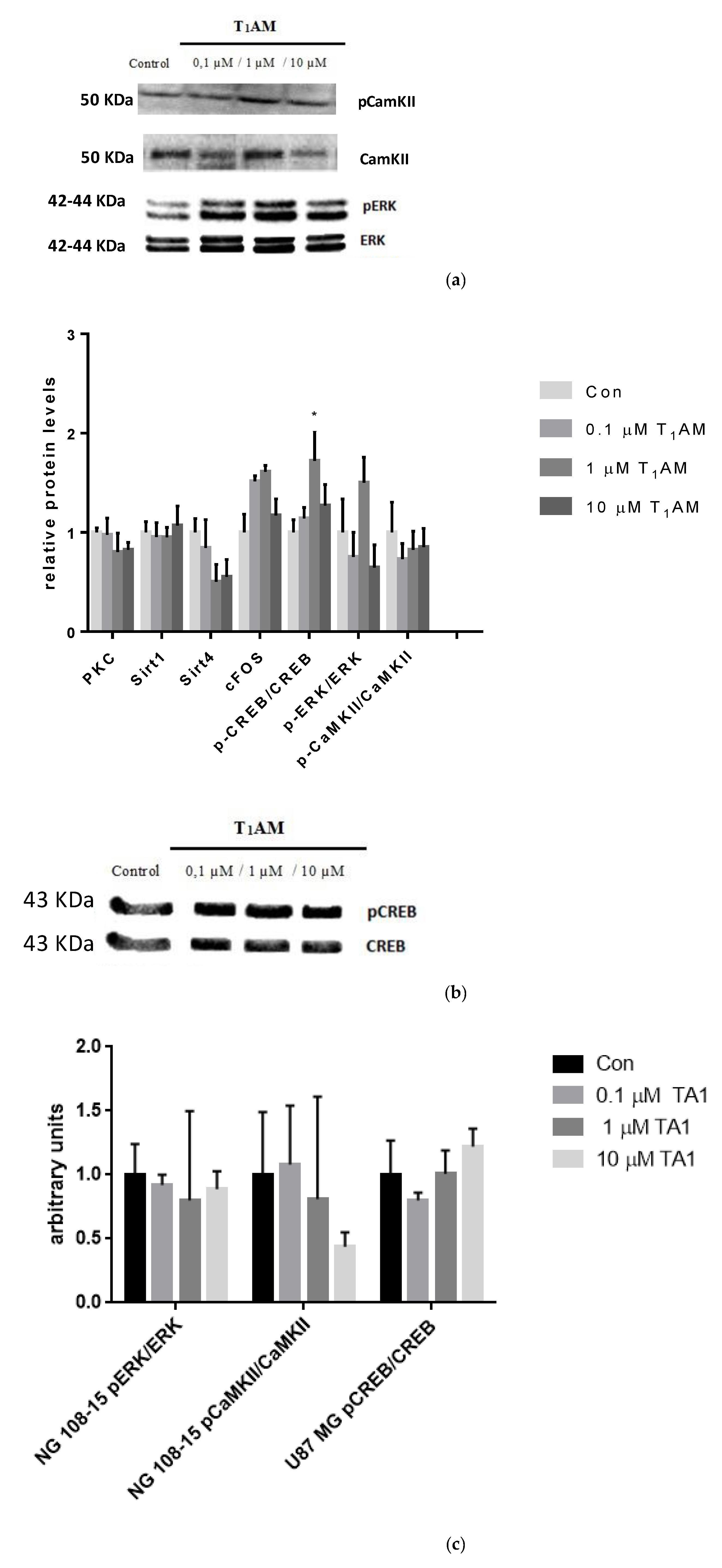 Life 12 01352 g005b 550