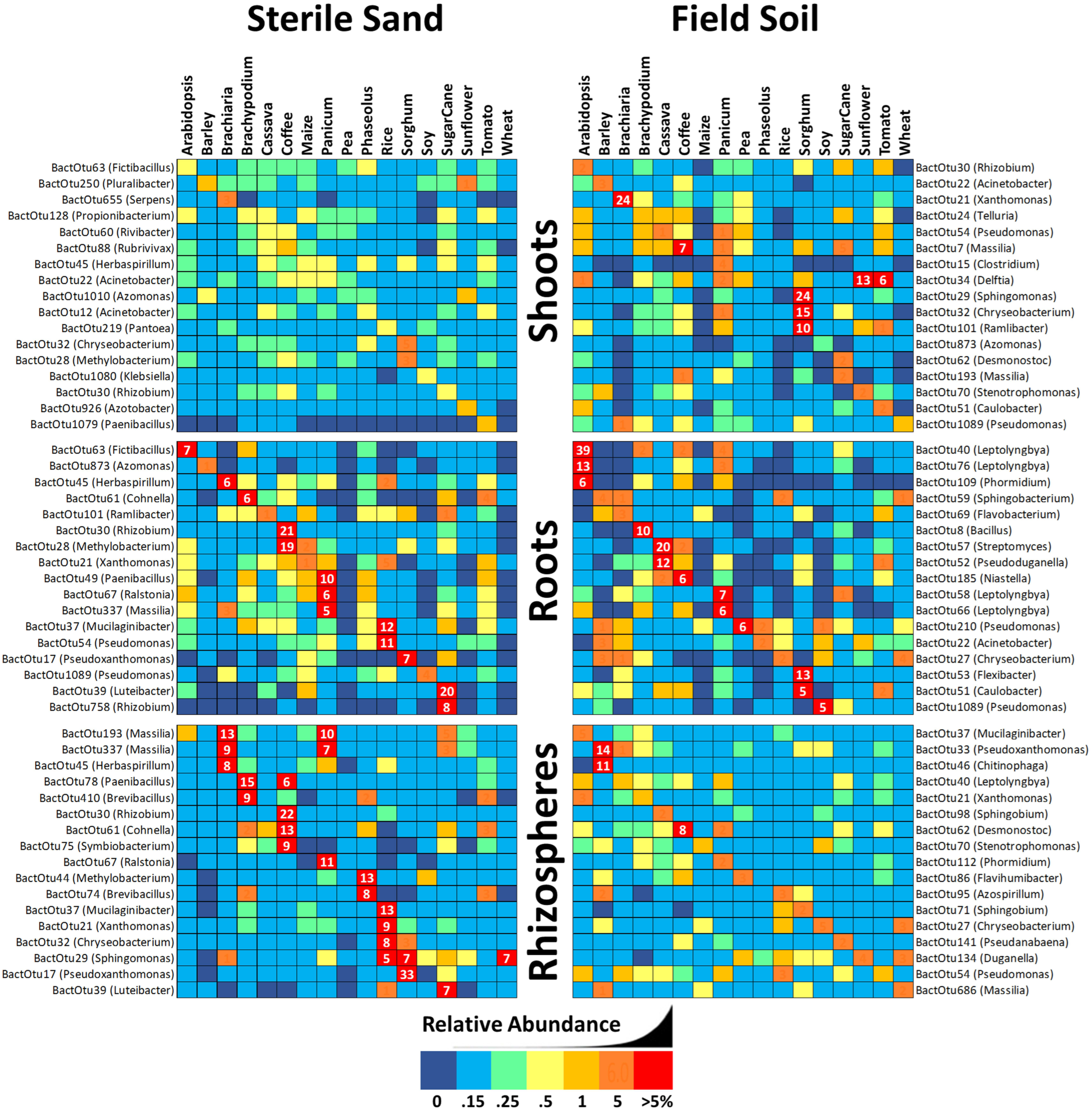 Life | Free Full-Text | Stochastic Inoculum, Biotic Filtering and  Species-Specific Seed Transmission Shape the Rare Microbiome of Plants